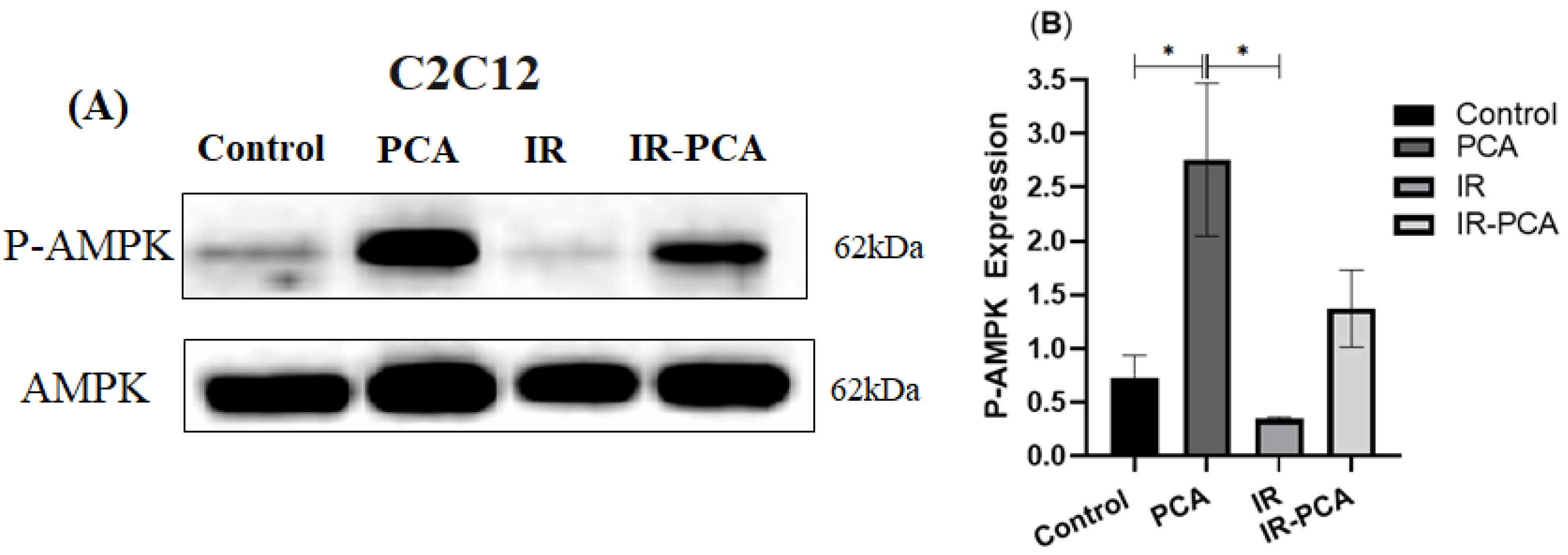 Ijms 24 09490 g008 Ijms 24 09490 g008
