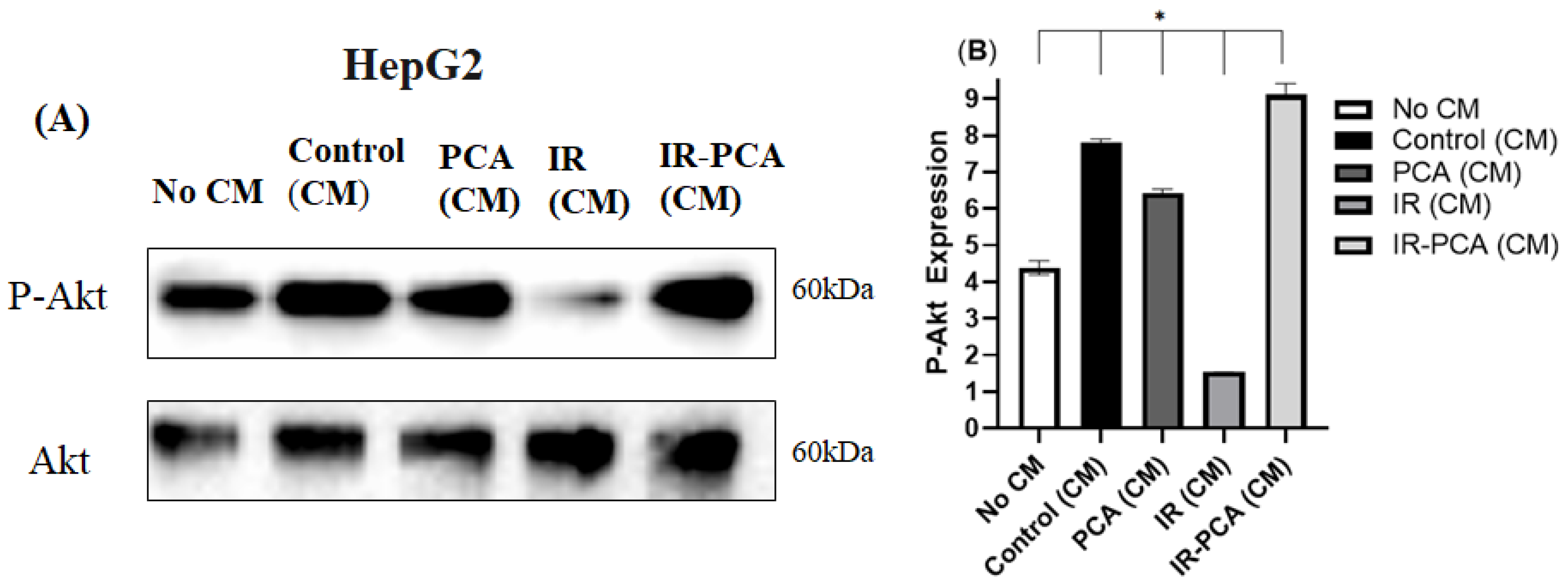 Ijms 24 09490 g012 Ijms 24 09490 g012
