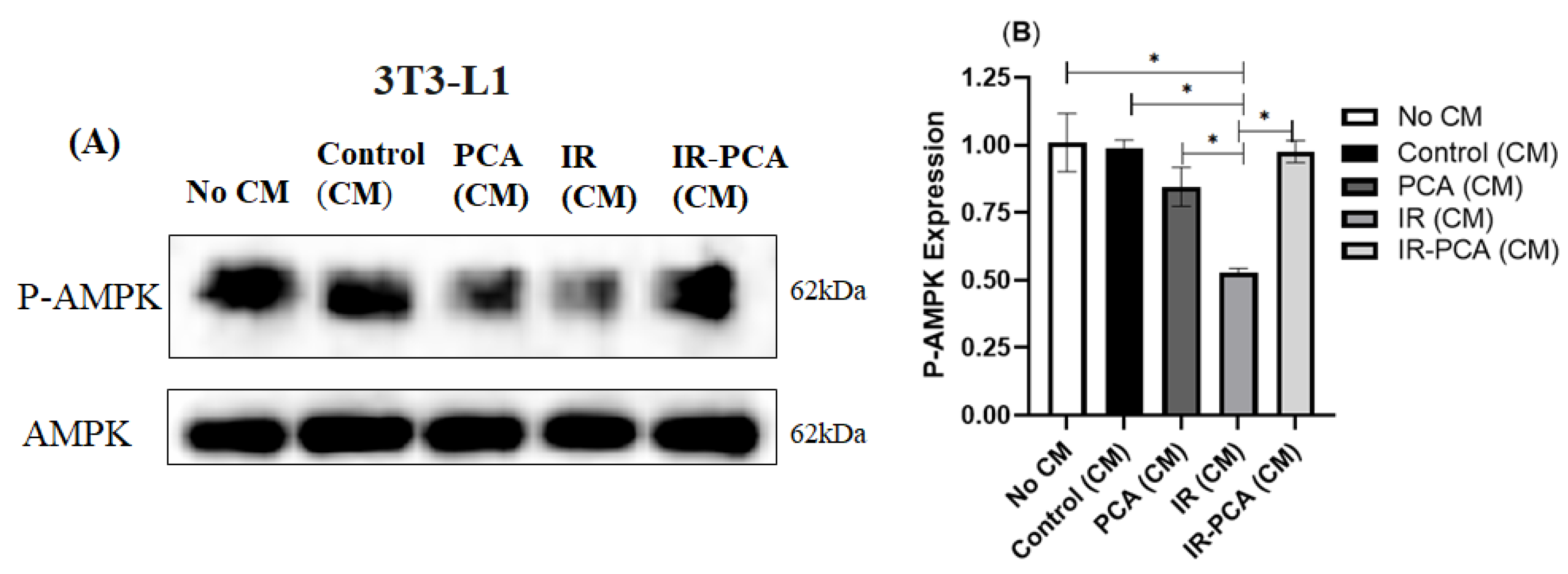 Ijms 24 09490 g014 Ijms 24 09490 g014