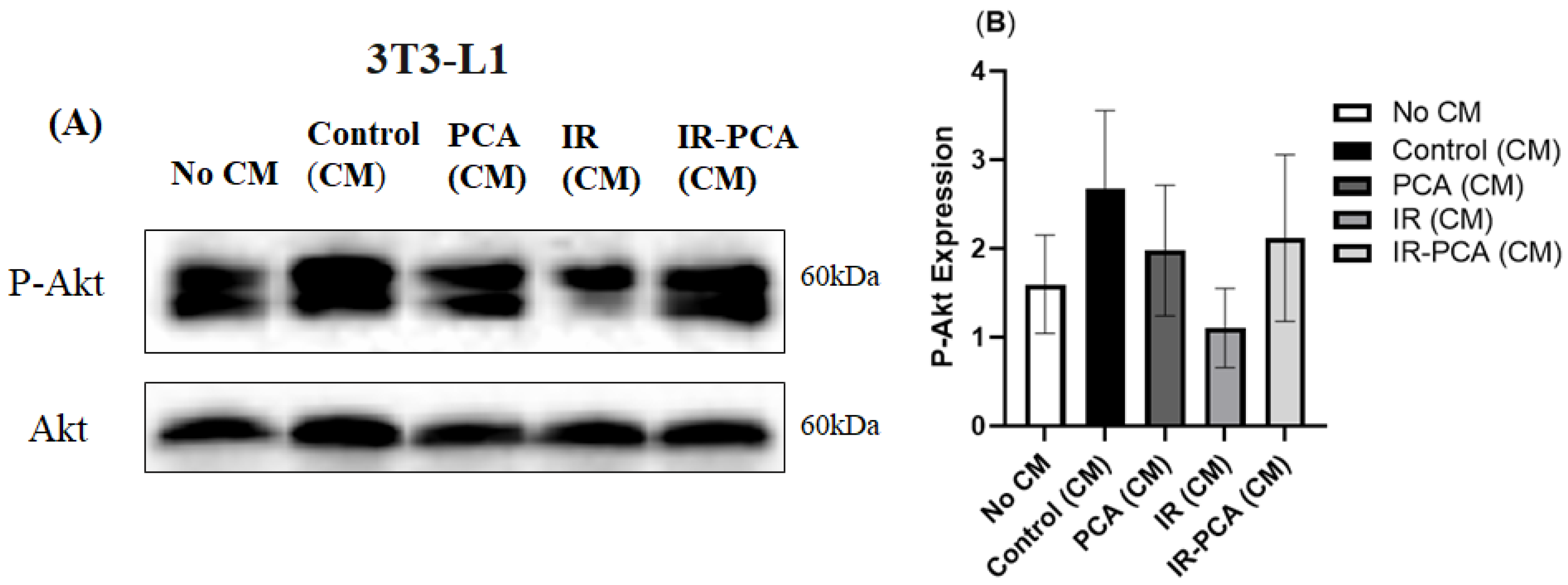 Ijms 24 09490 g015 Ijms 24 09490 g015