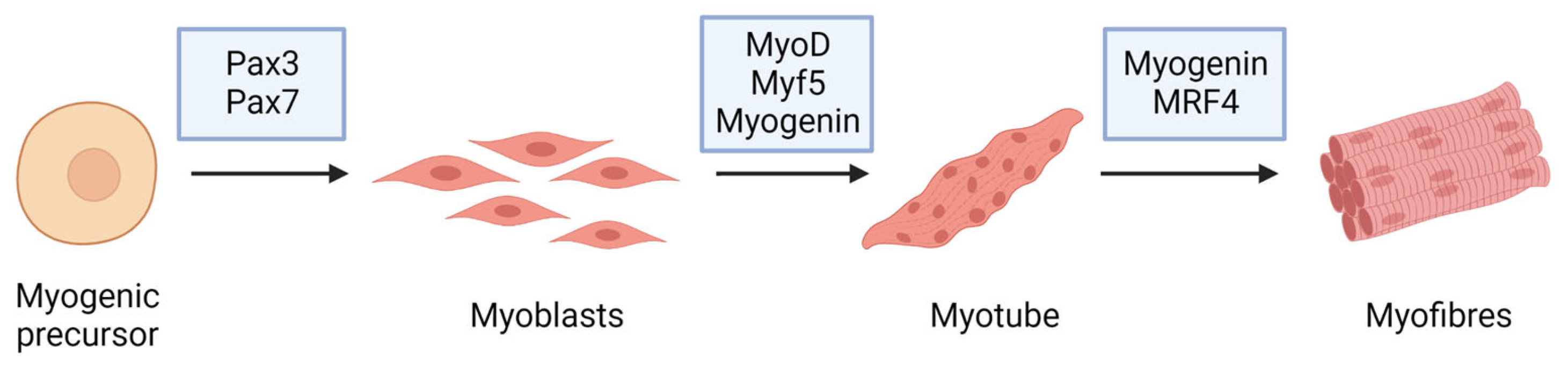 Ijms 24 09503 g002 Ijms 24 09503 g002