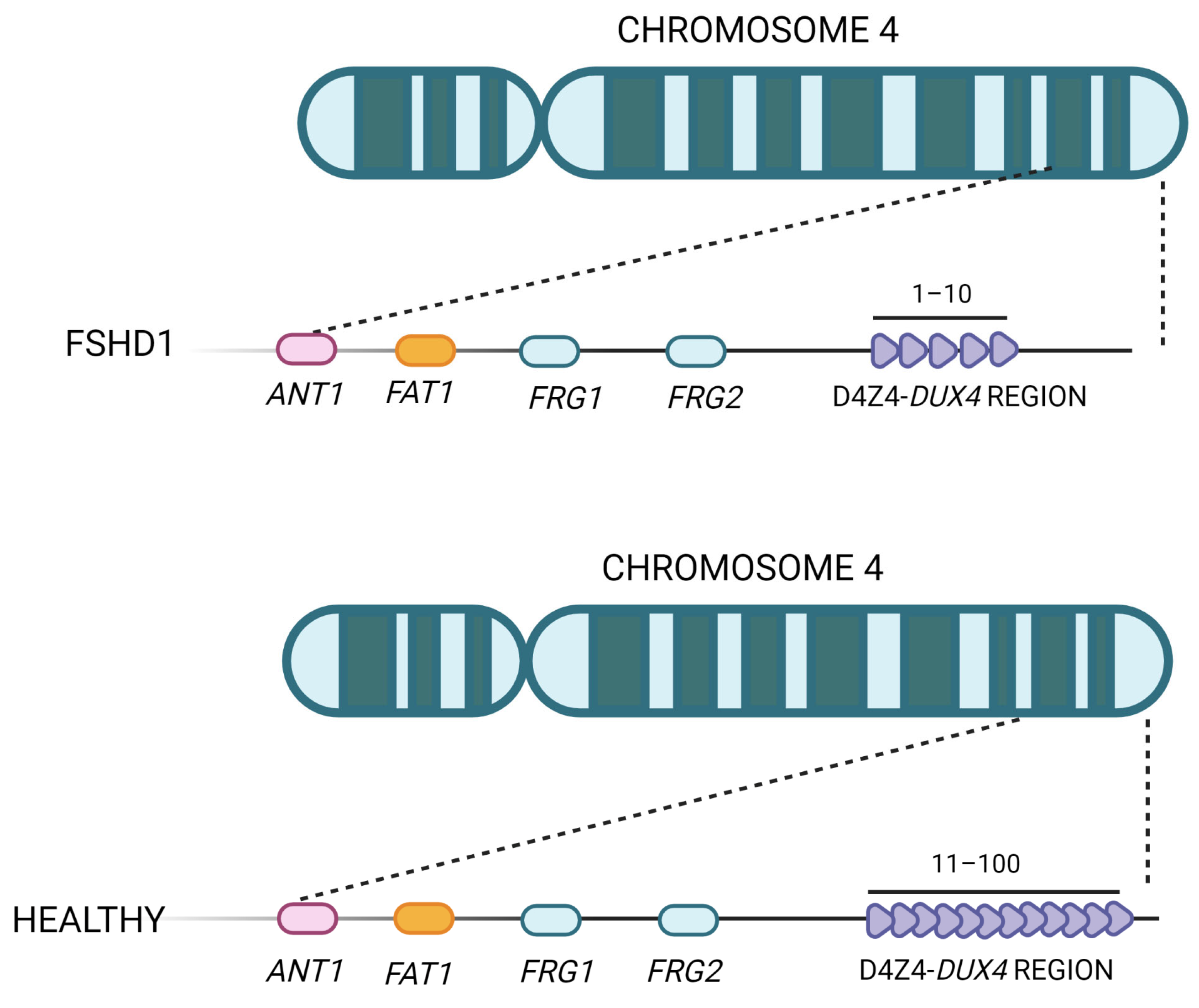 Ijms 24 09503 g003 Ijms 24 09503 g003