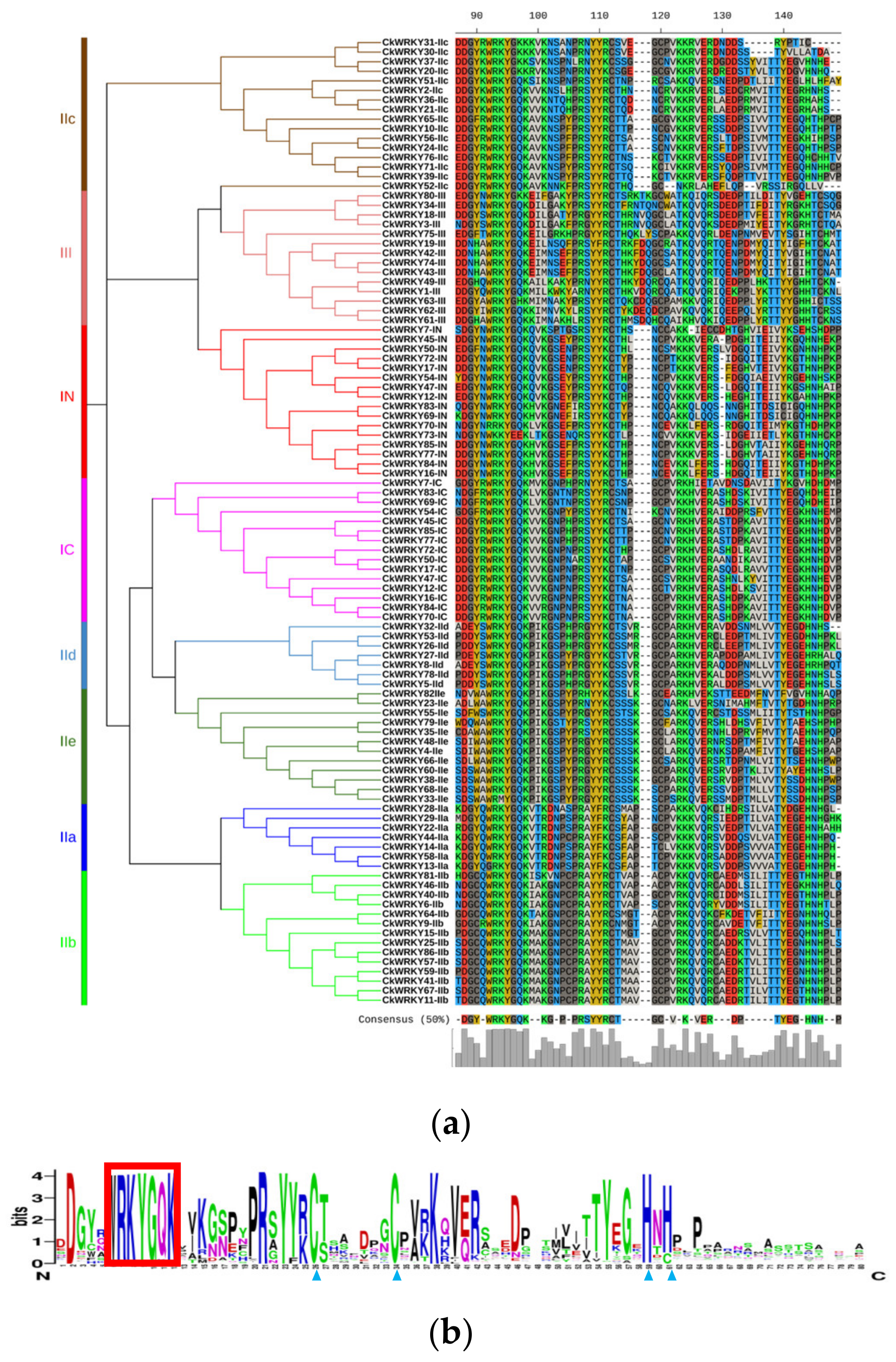 Ijms 24 09519 g003 Ijms 24 09519 g003