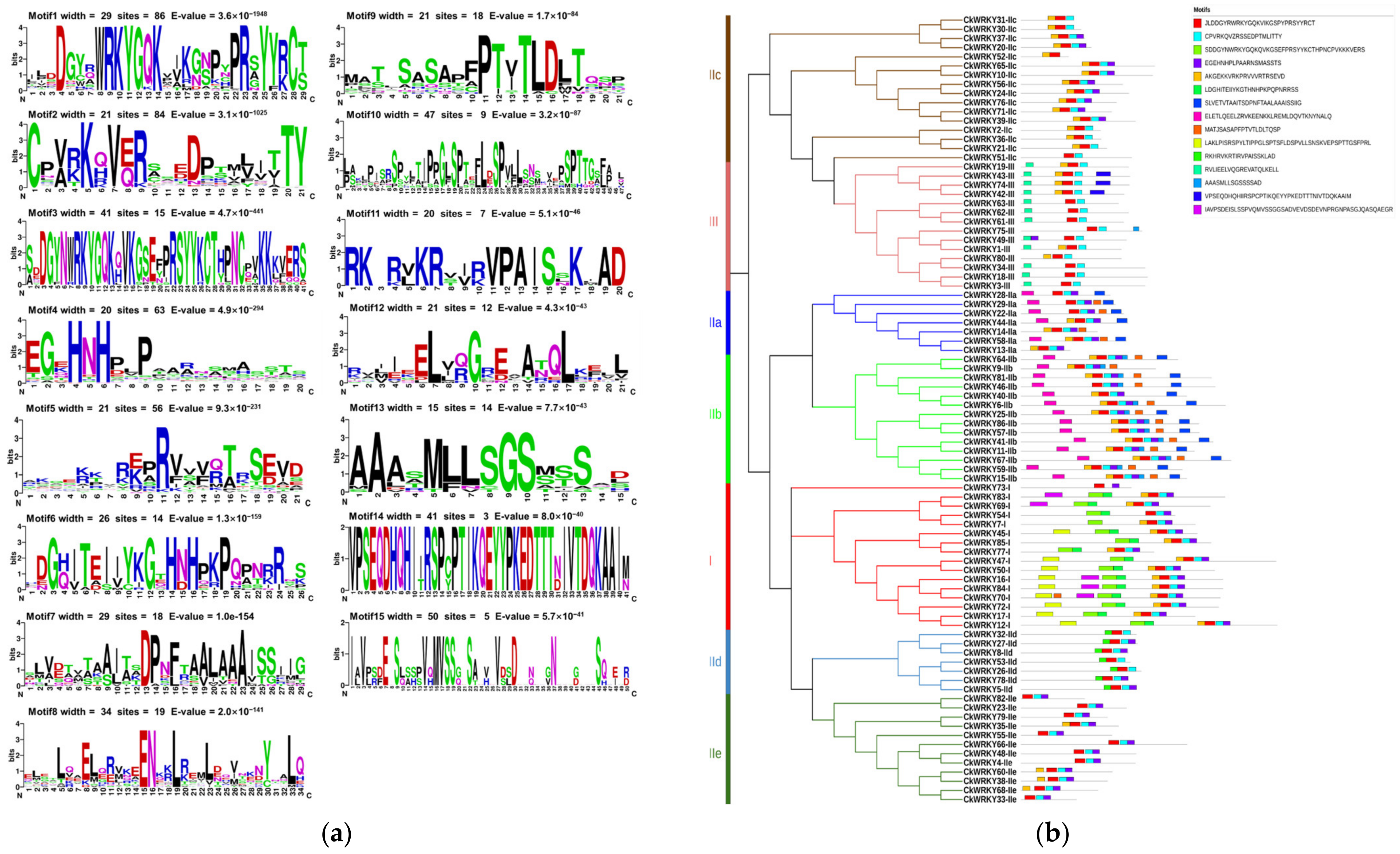 Ijms 24 09519 g004 Ijms 24 09519 g004