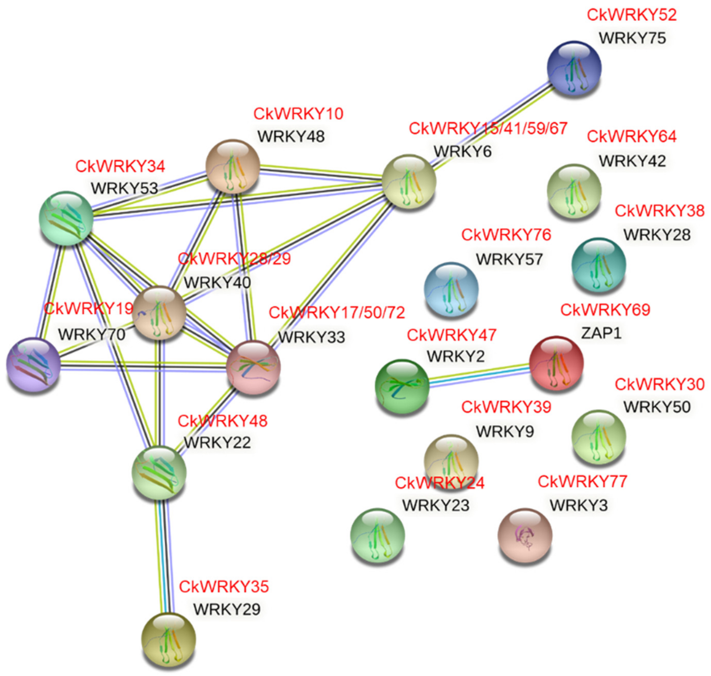 Ijms 24 09519 g009 Ijms 24 09519 g009