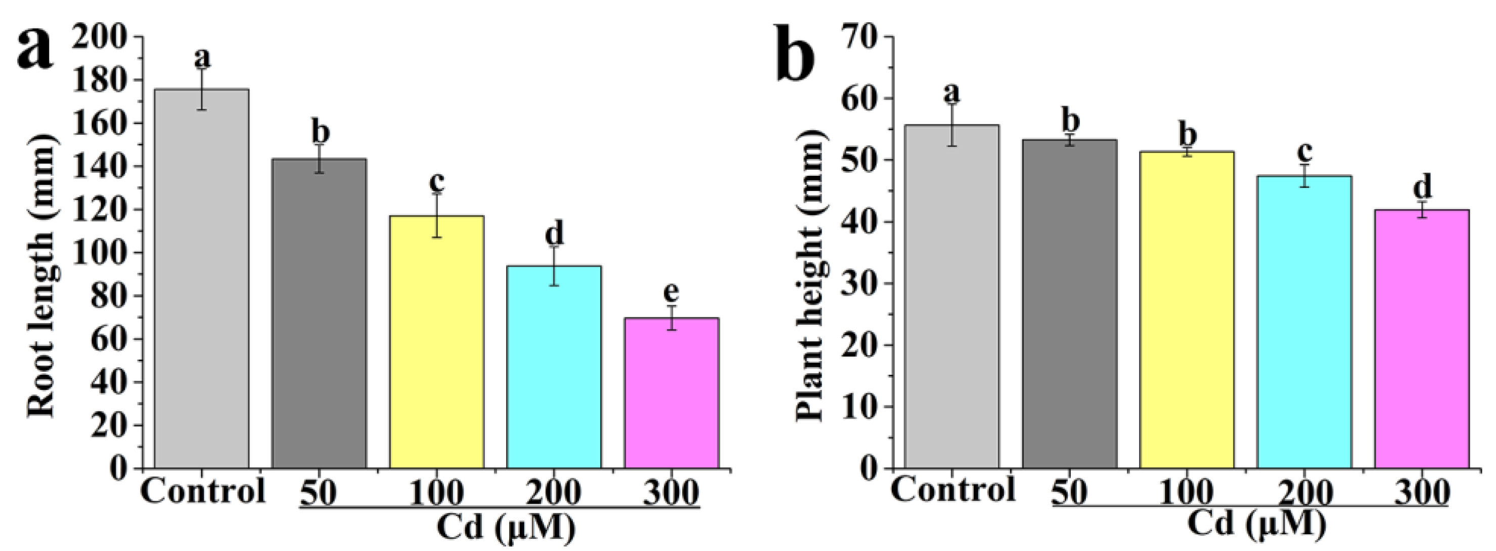 Ijms 24 09526 g001 Ijms 24 09526 g001