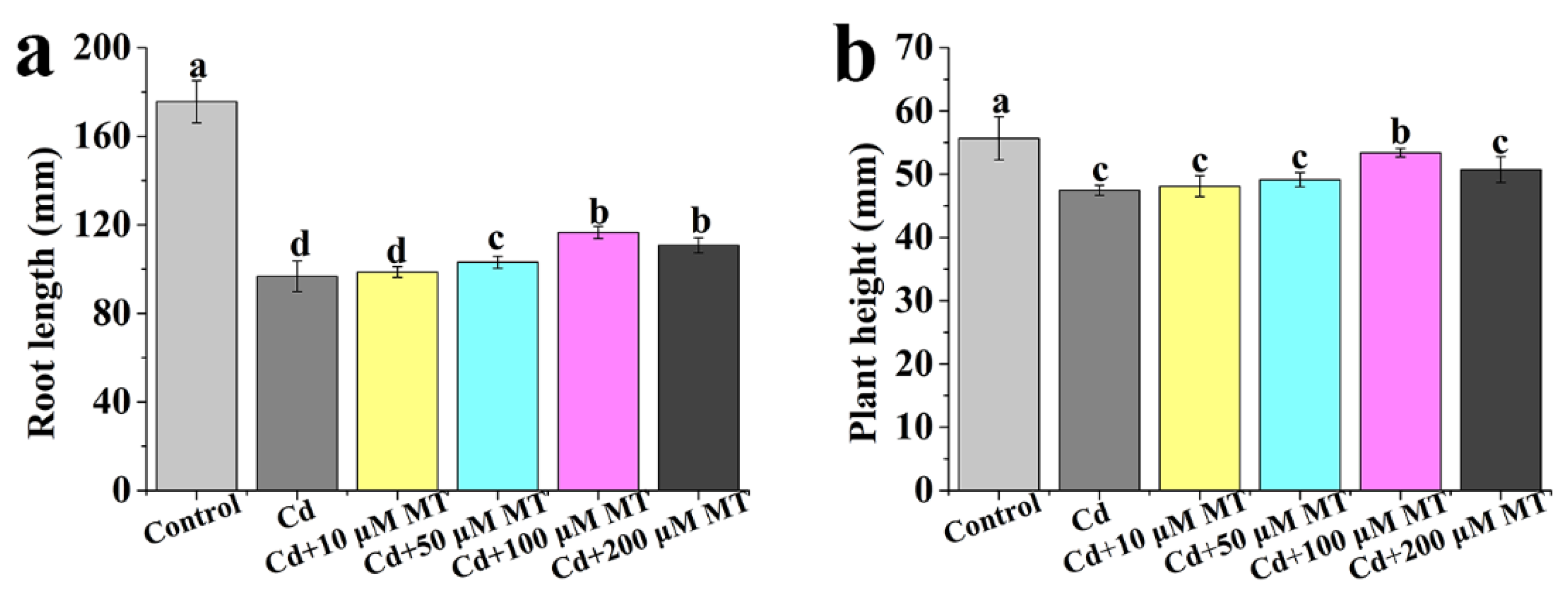 Ijms 24 09526 g002 Ijms 24 09526 g002