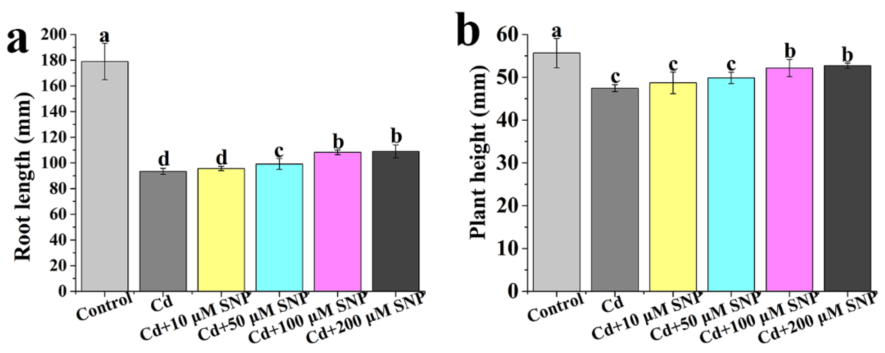 Ijms 24 09526 g003 Ijms 24 09526 g003