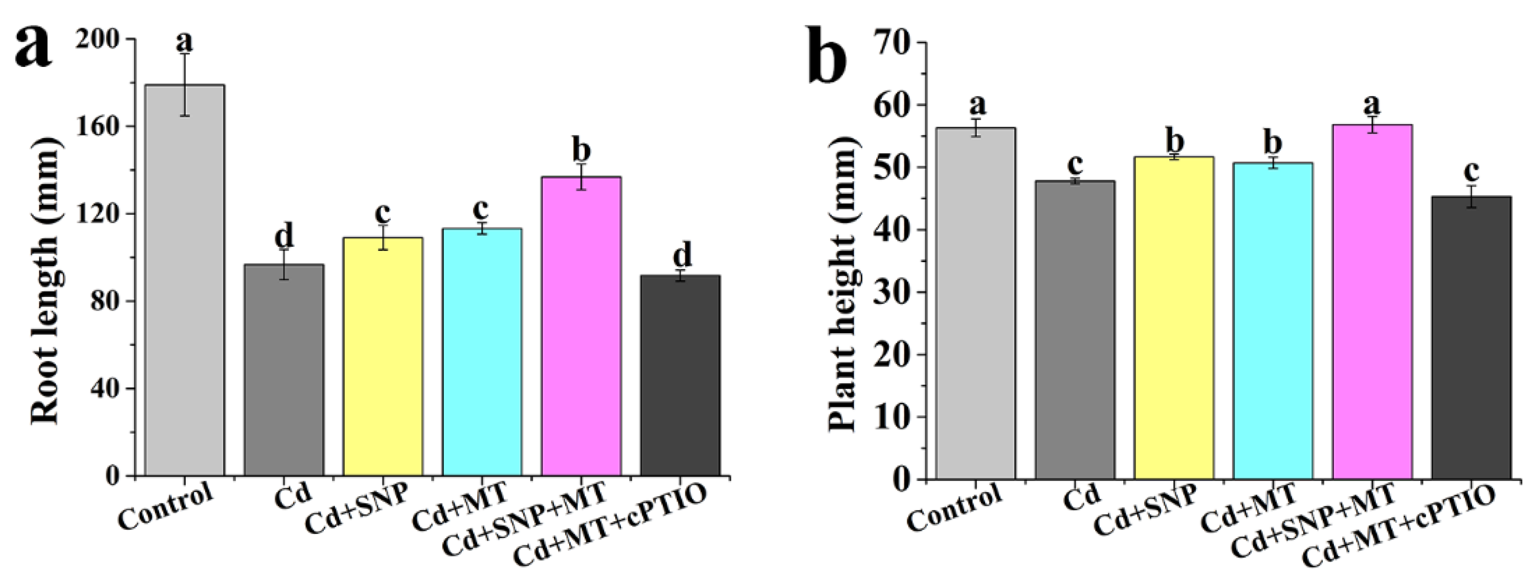 Ijms 24 09526 g004 Ijms 24 09526 g004