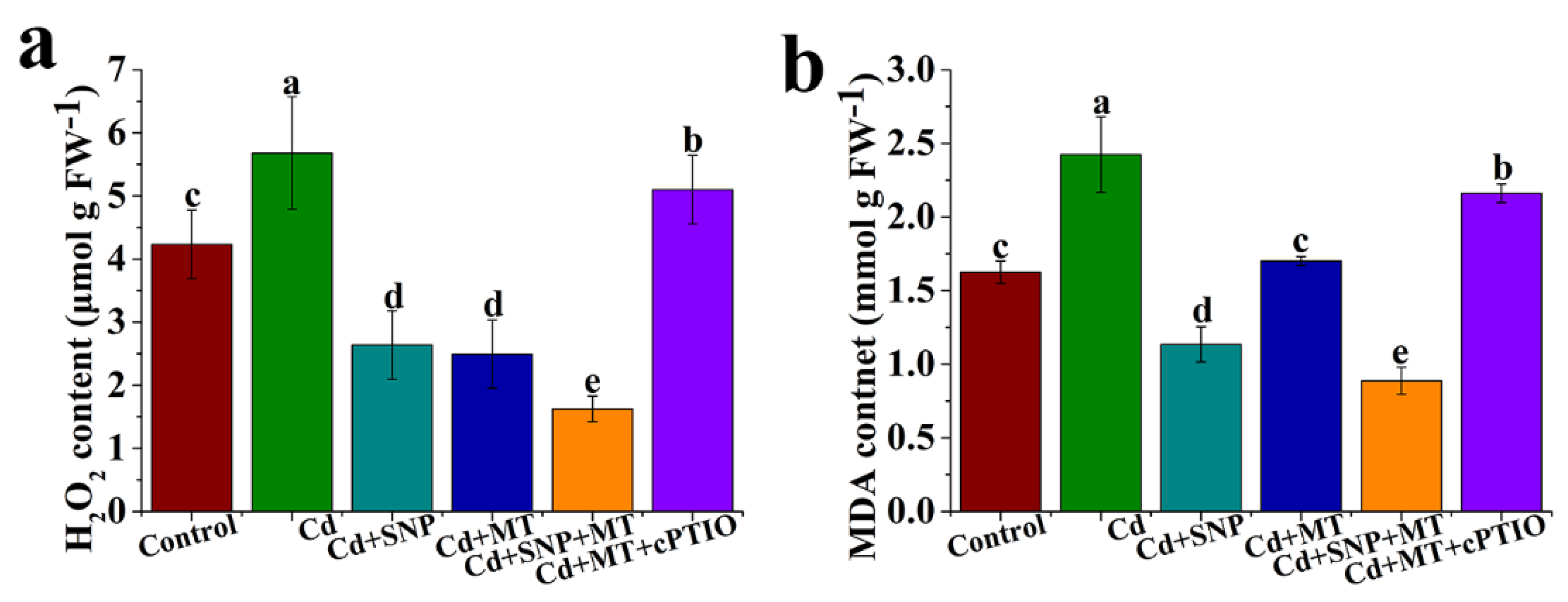 Ijms 24 09526 g005 Ijms 24 09526 g005