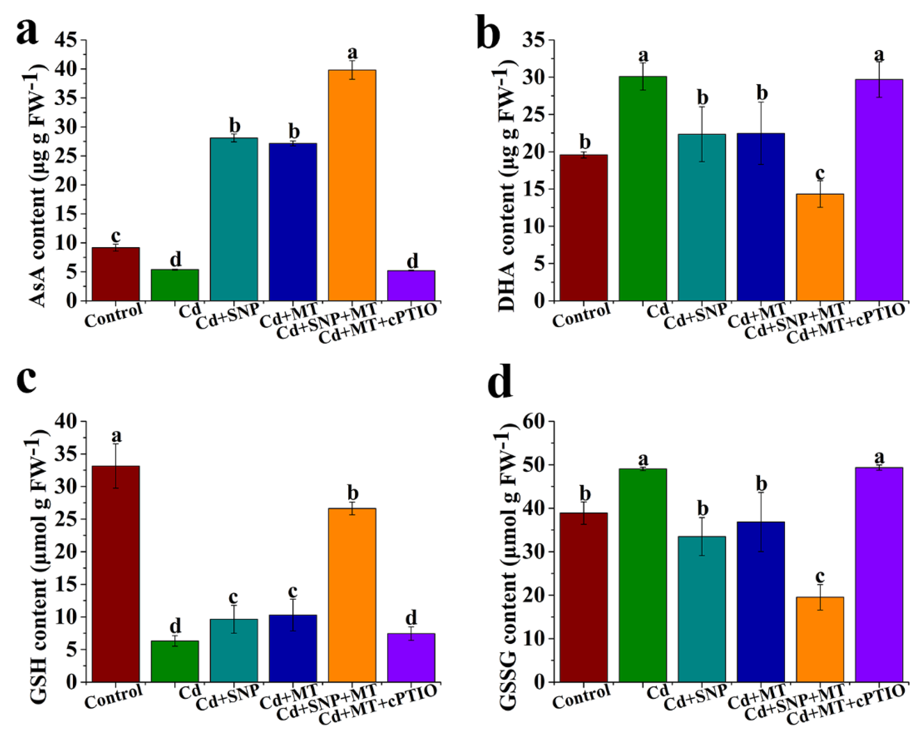 Ijms 24 09526 g006 Ijms 24 09526 g006