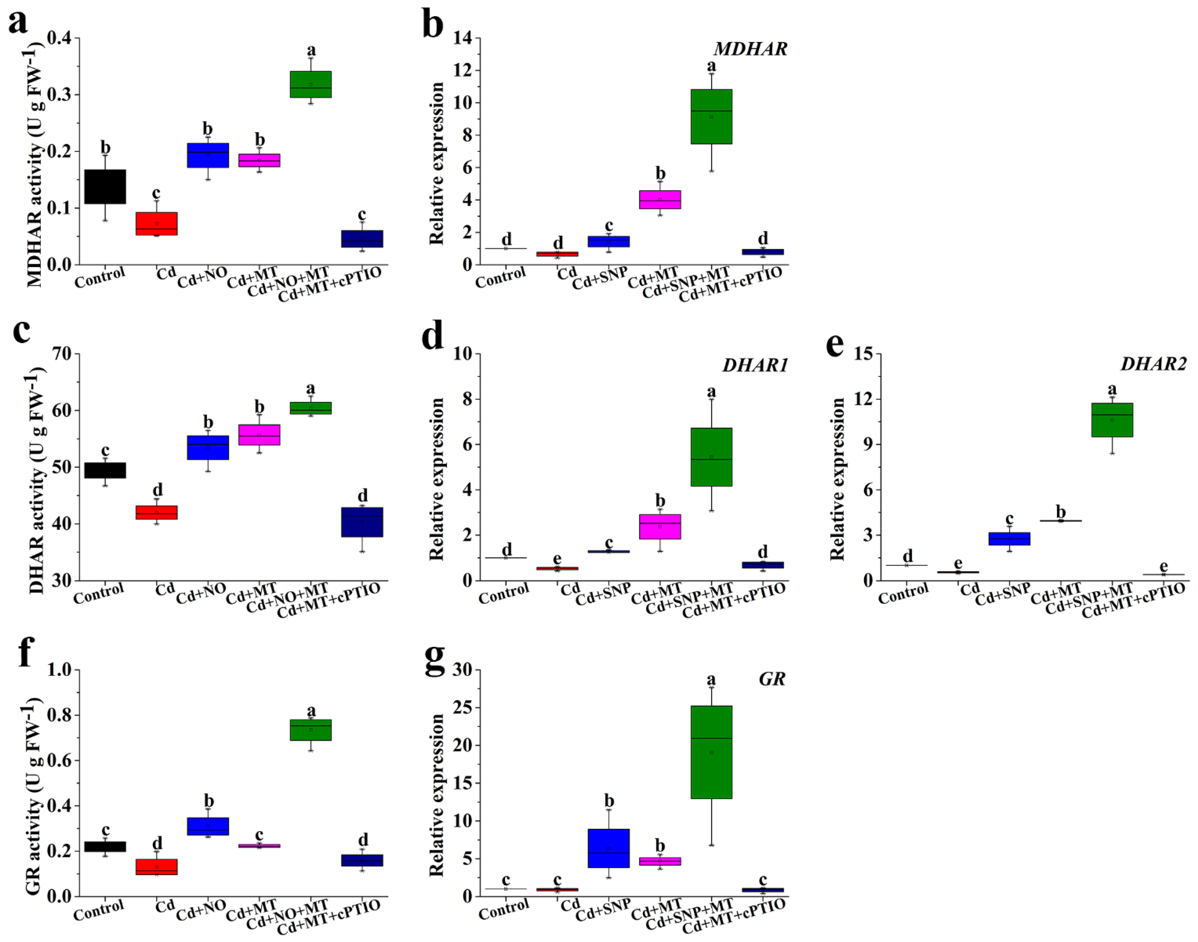 Ijms 24 09526 g009 Ijms 24 09526 g009