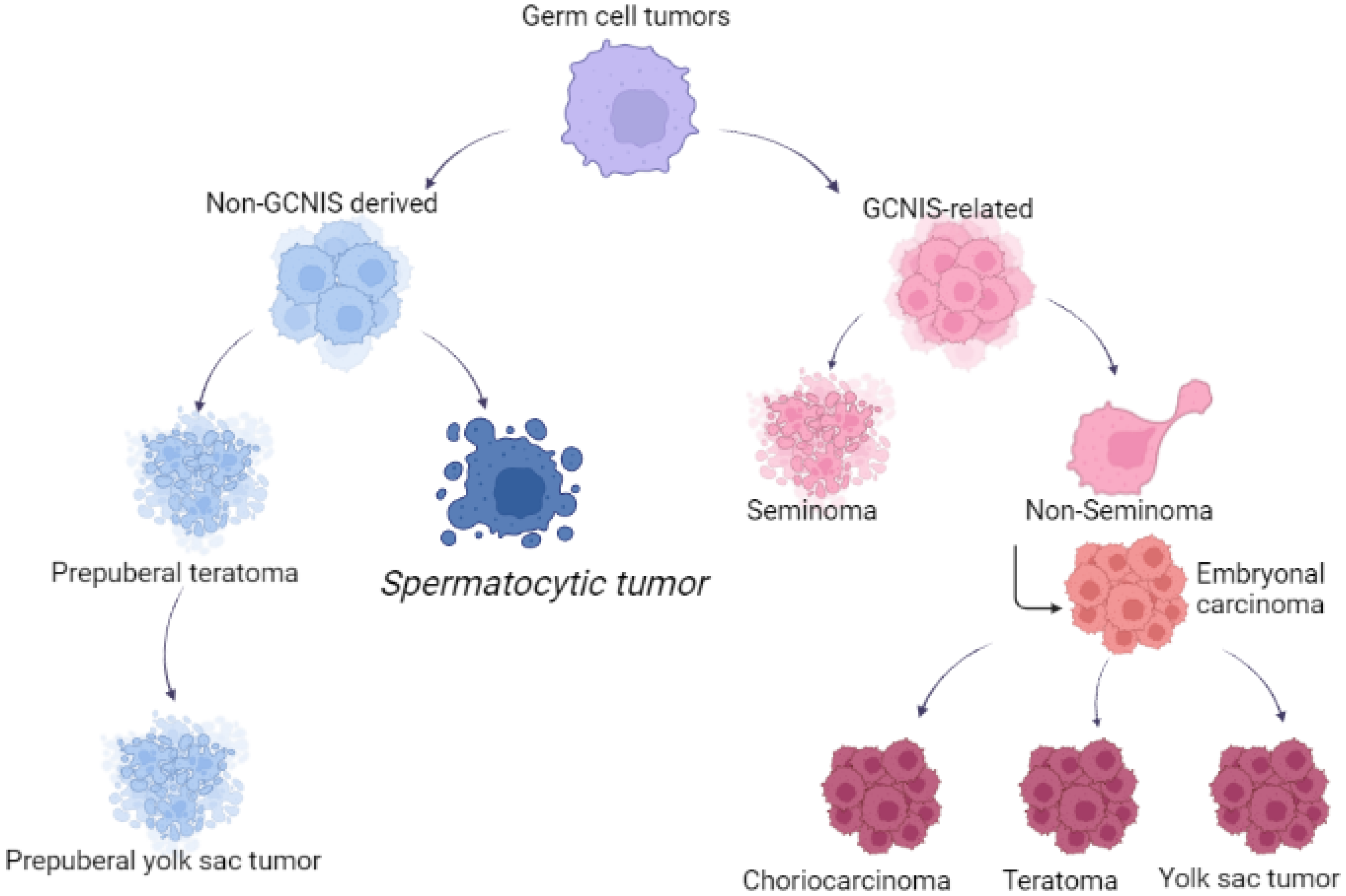 Ijms 24 09529 g001 Ijms 24 09529 g001