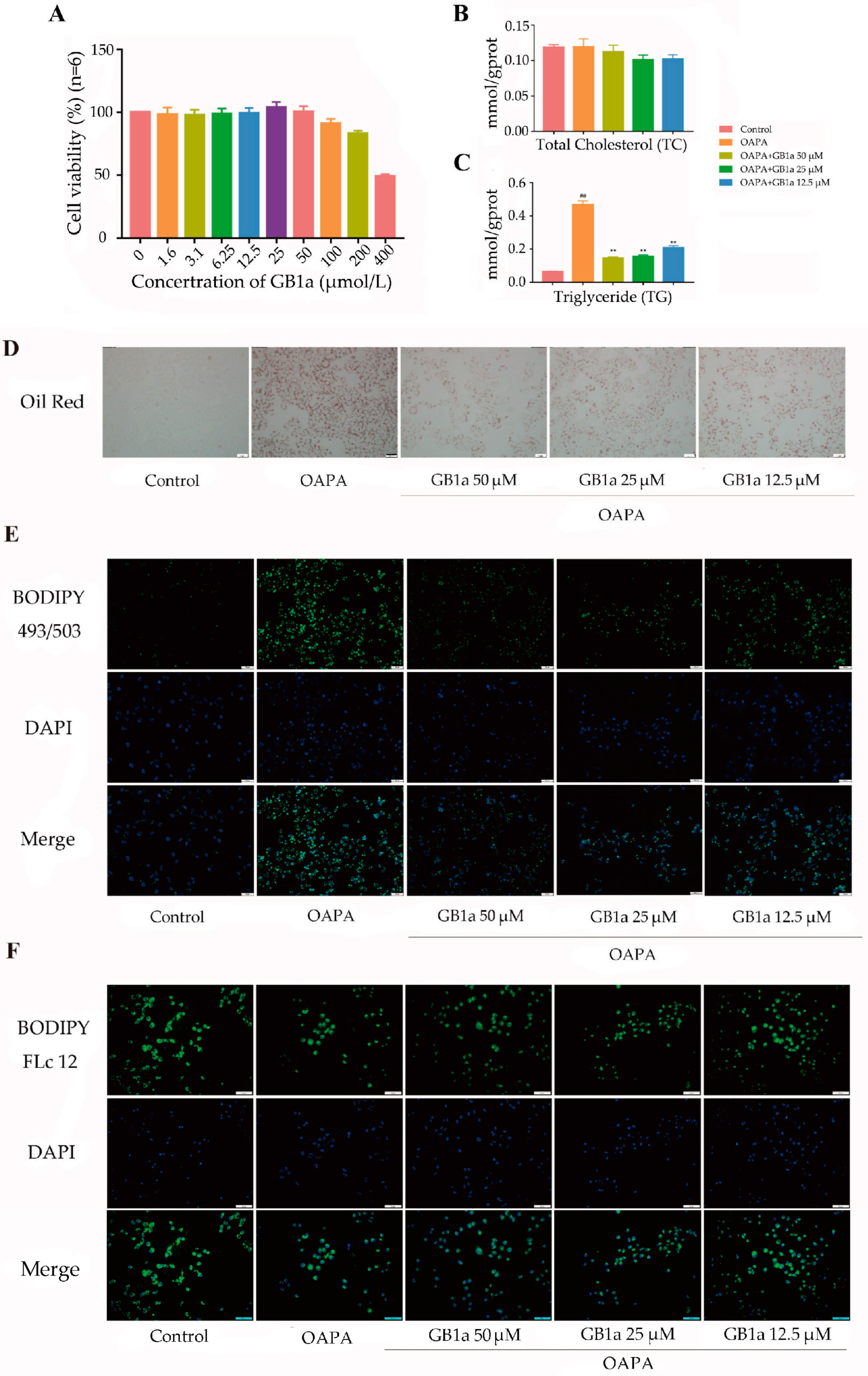 Ijms 24 09540 g001a Ijms 24 09540 g001a