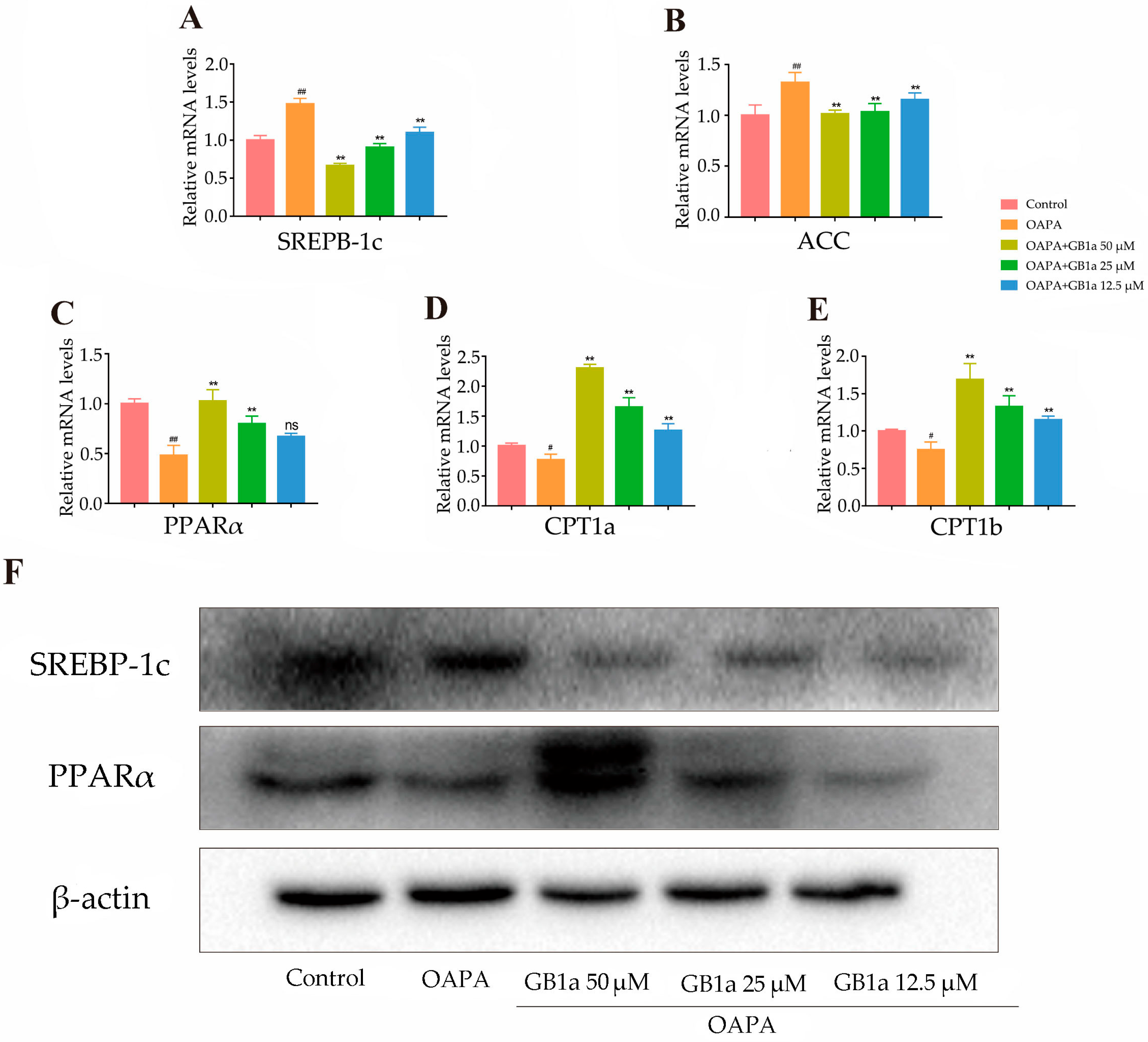 Ijms 24 09540 g002 Ijms 24 09540 g002