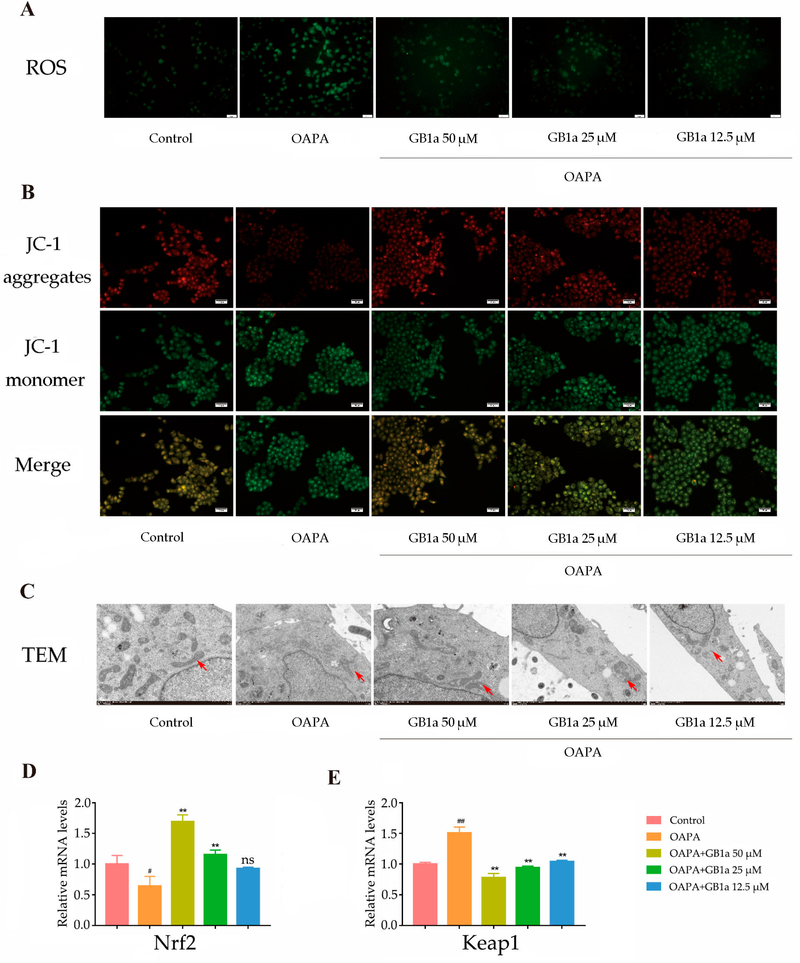 Ijms 24 09540 g003a Ijms 24 09540 g003a