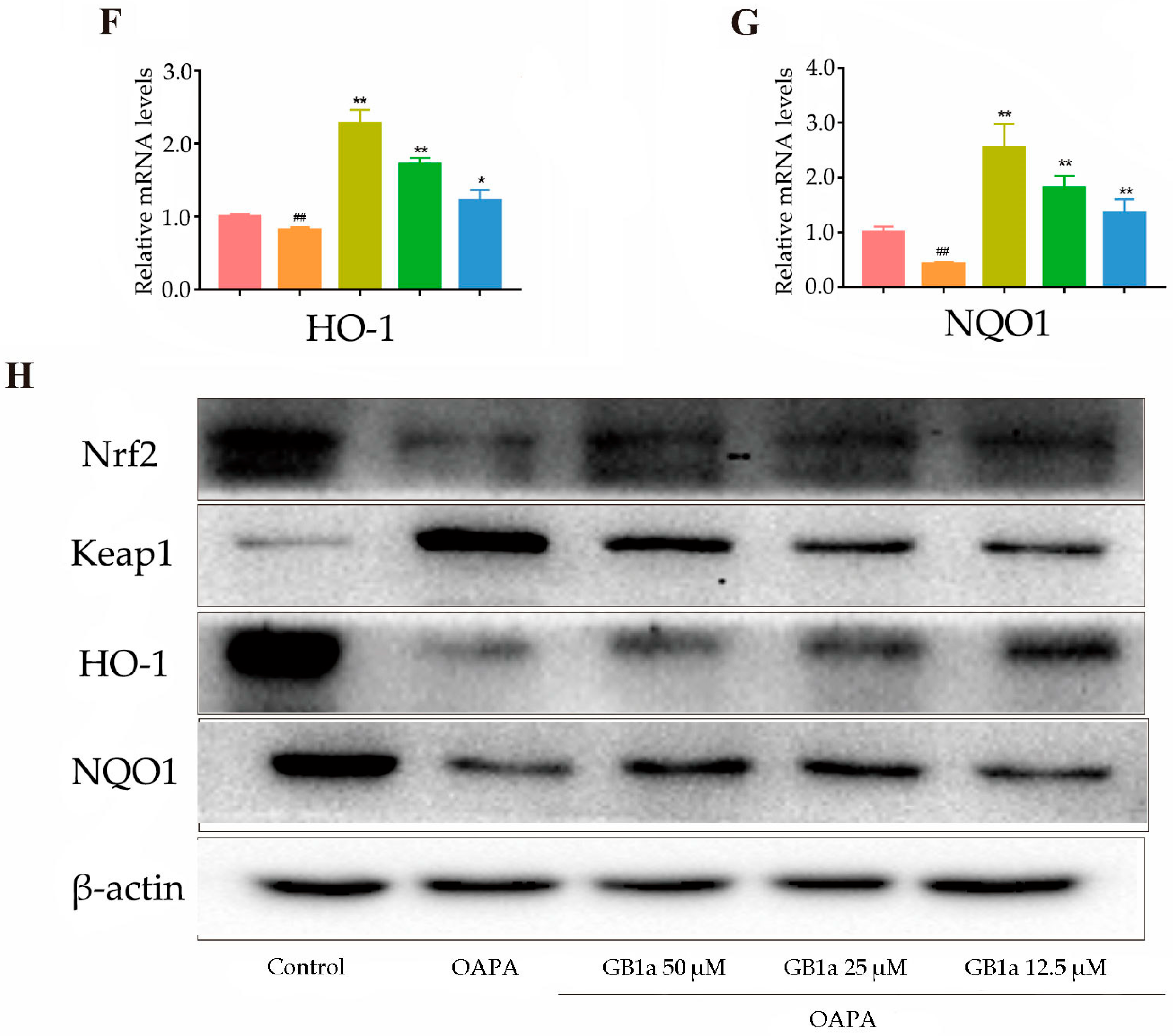 Ijms 24 09540 g003b Ijms 24 09540 g003b