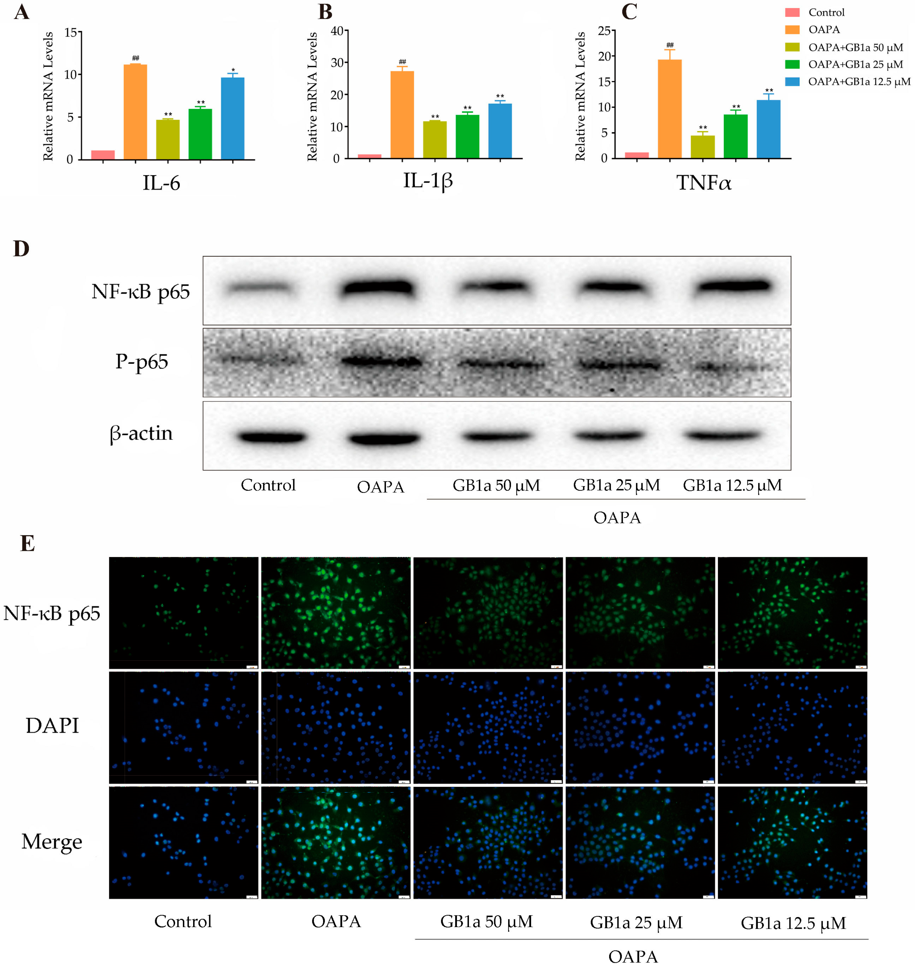 Ijms 24 09540 g004 Ijms 24 09540 g004