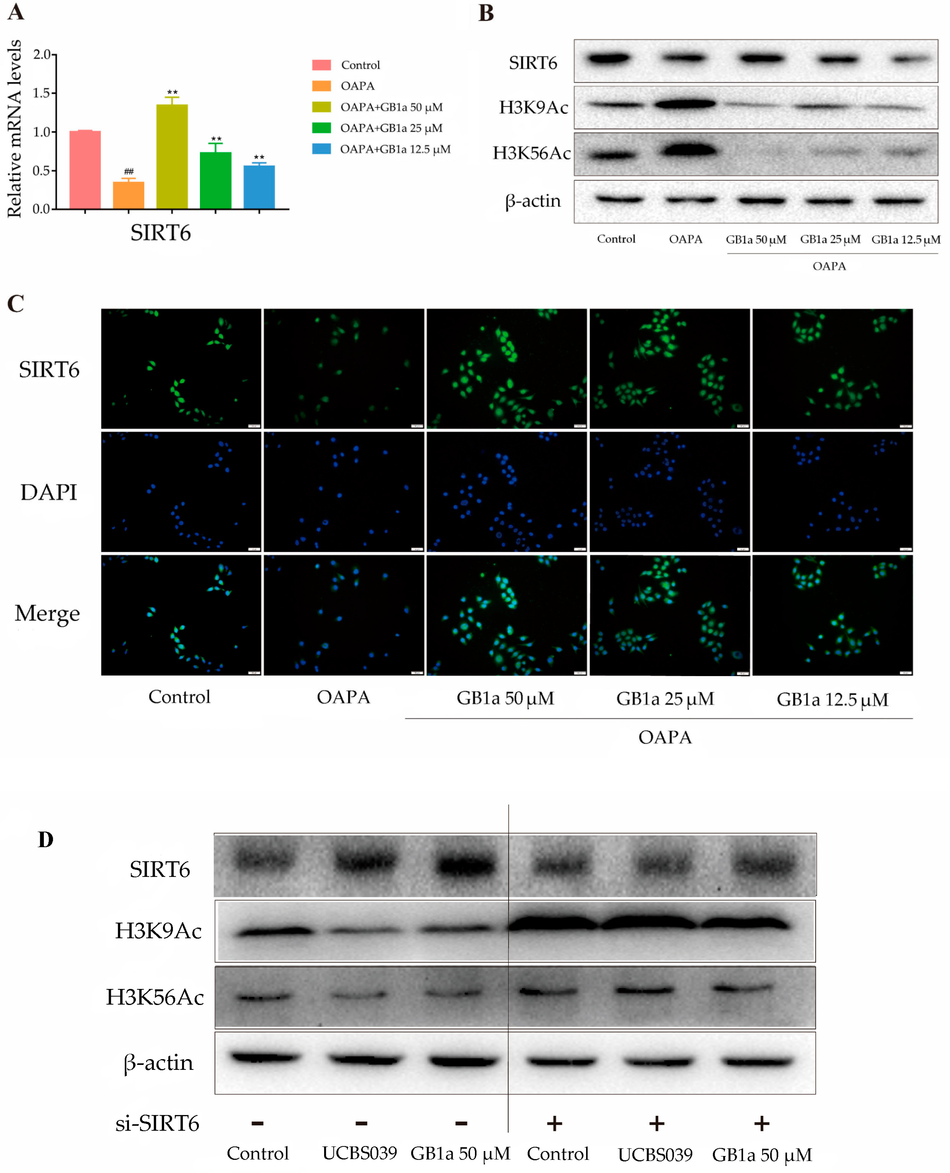 Ijms 24 09540 g005 Ijms 24 09540 g005