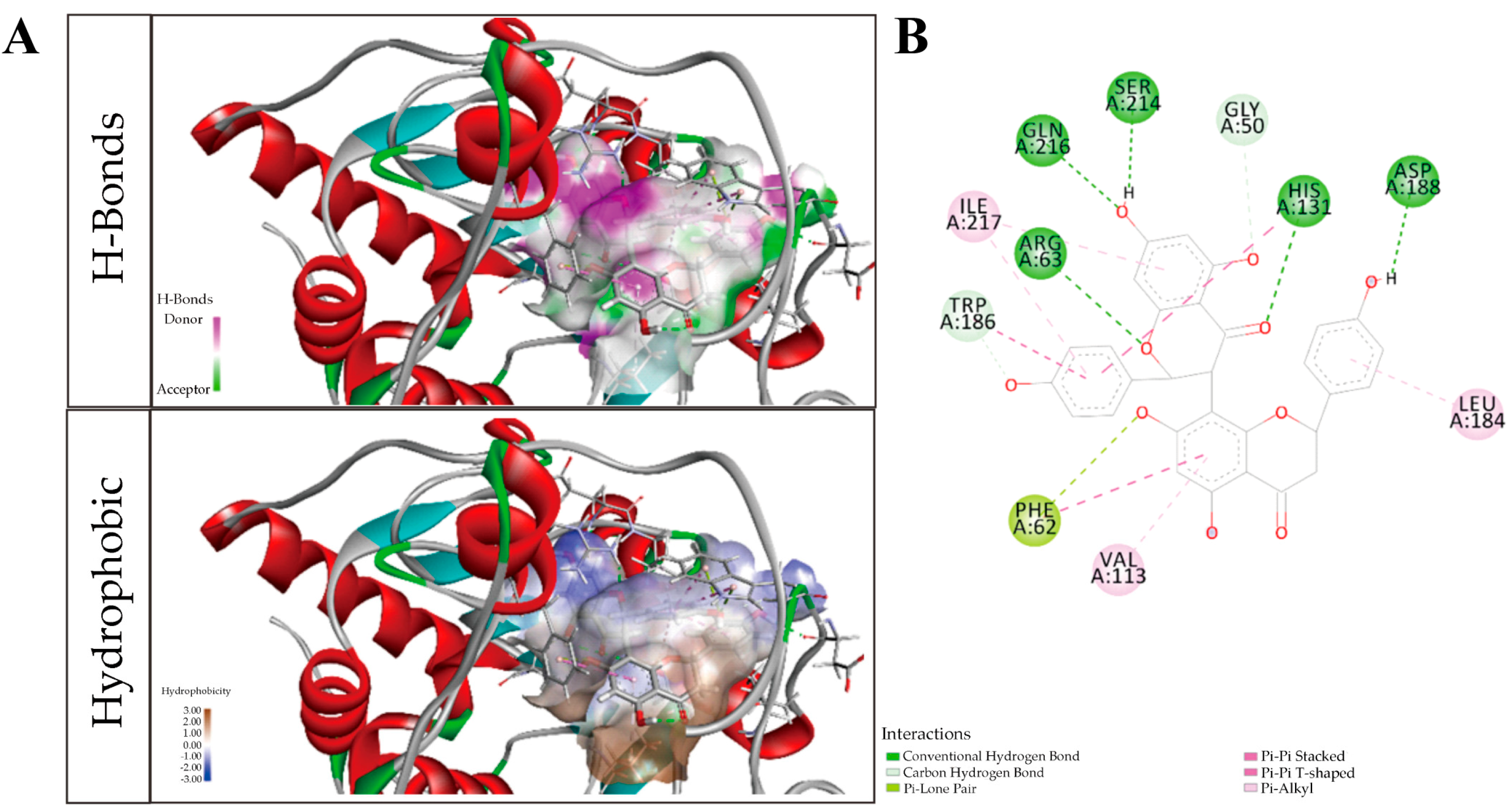 Ijms 24 09540 g006 Ijms 24 09540 g006