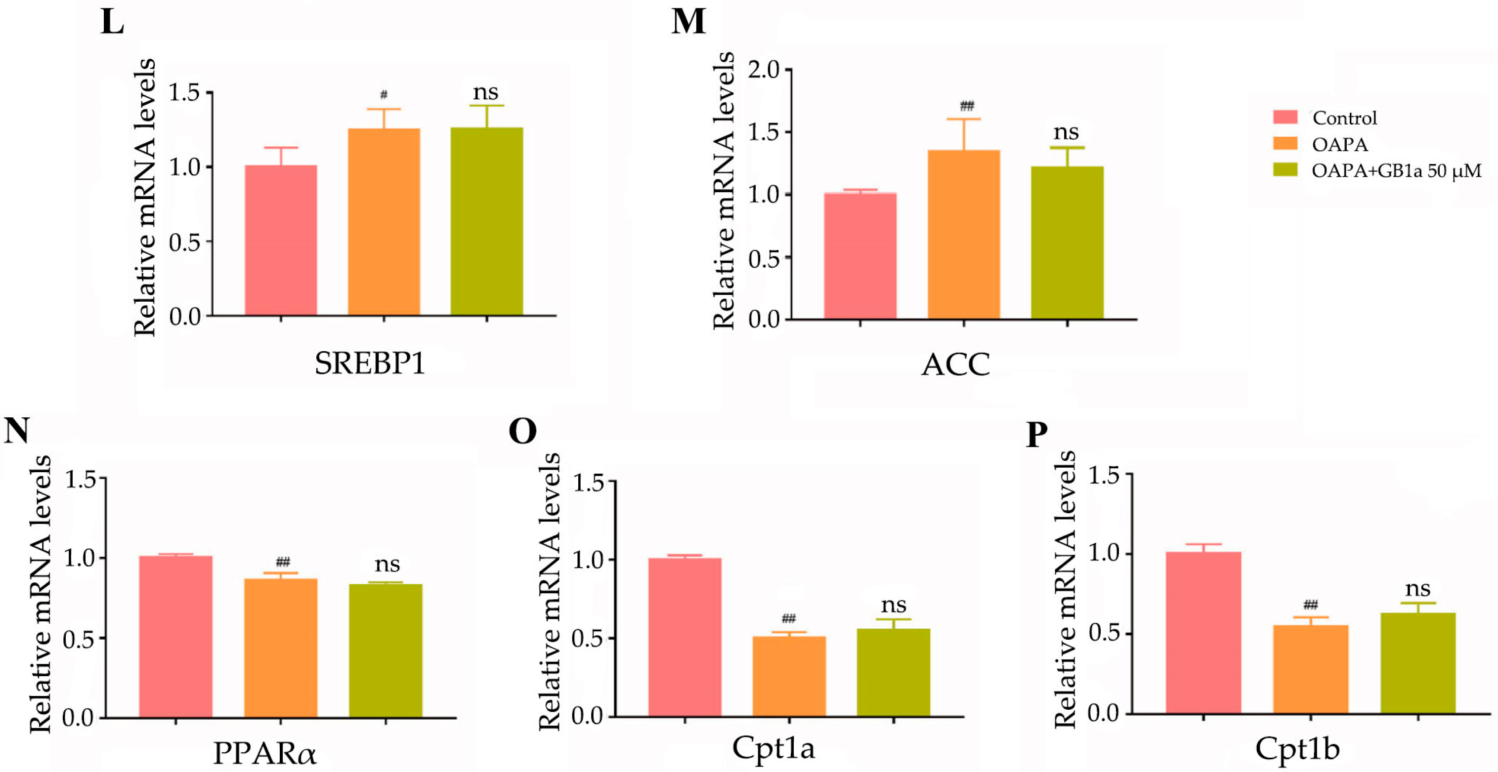 Ijms 24 09540 g007b Ijms 24 09540 g007b