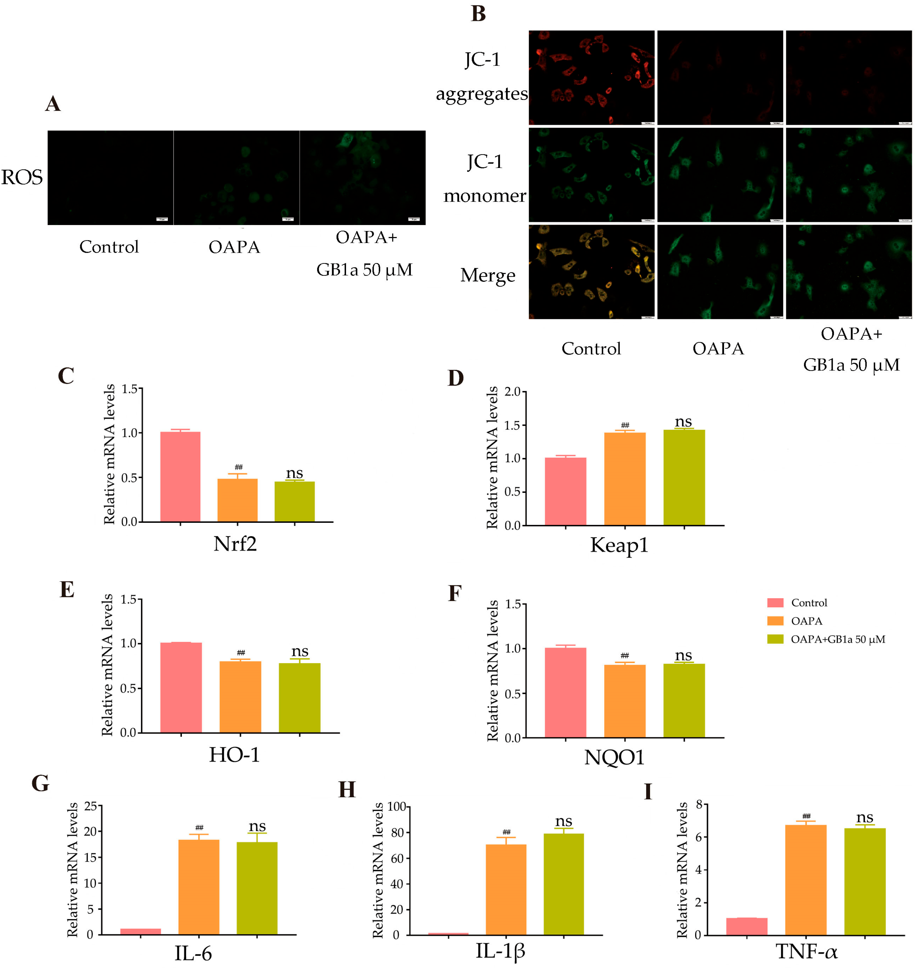 Ijms 24 09540 g008 Ijms 24 09540 g008