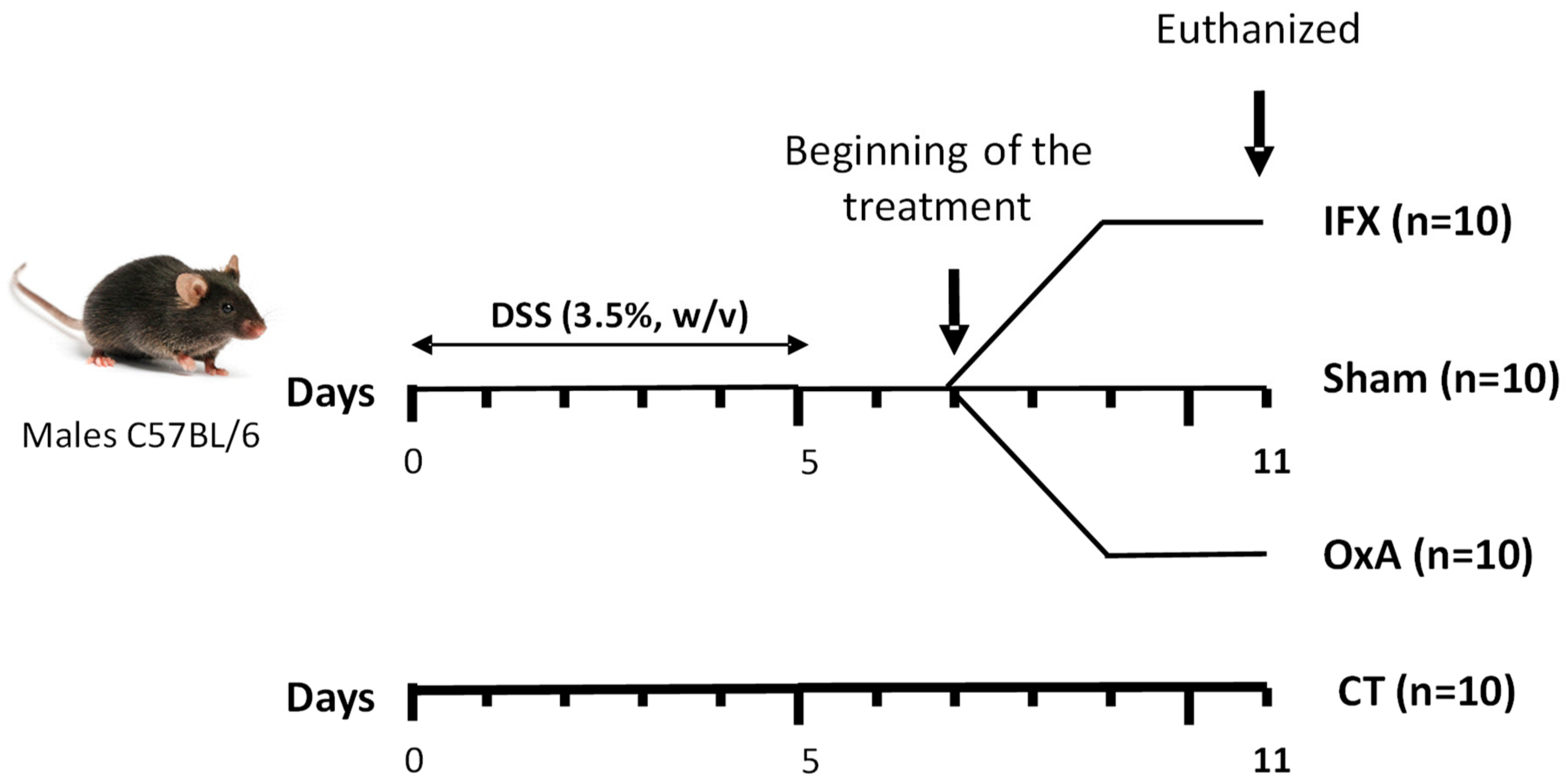 Ijms 24 09554 g001 Ijms 24 09554 g001