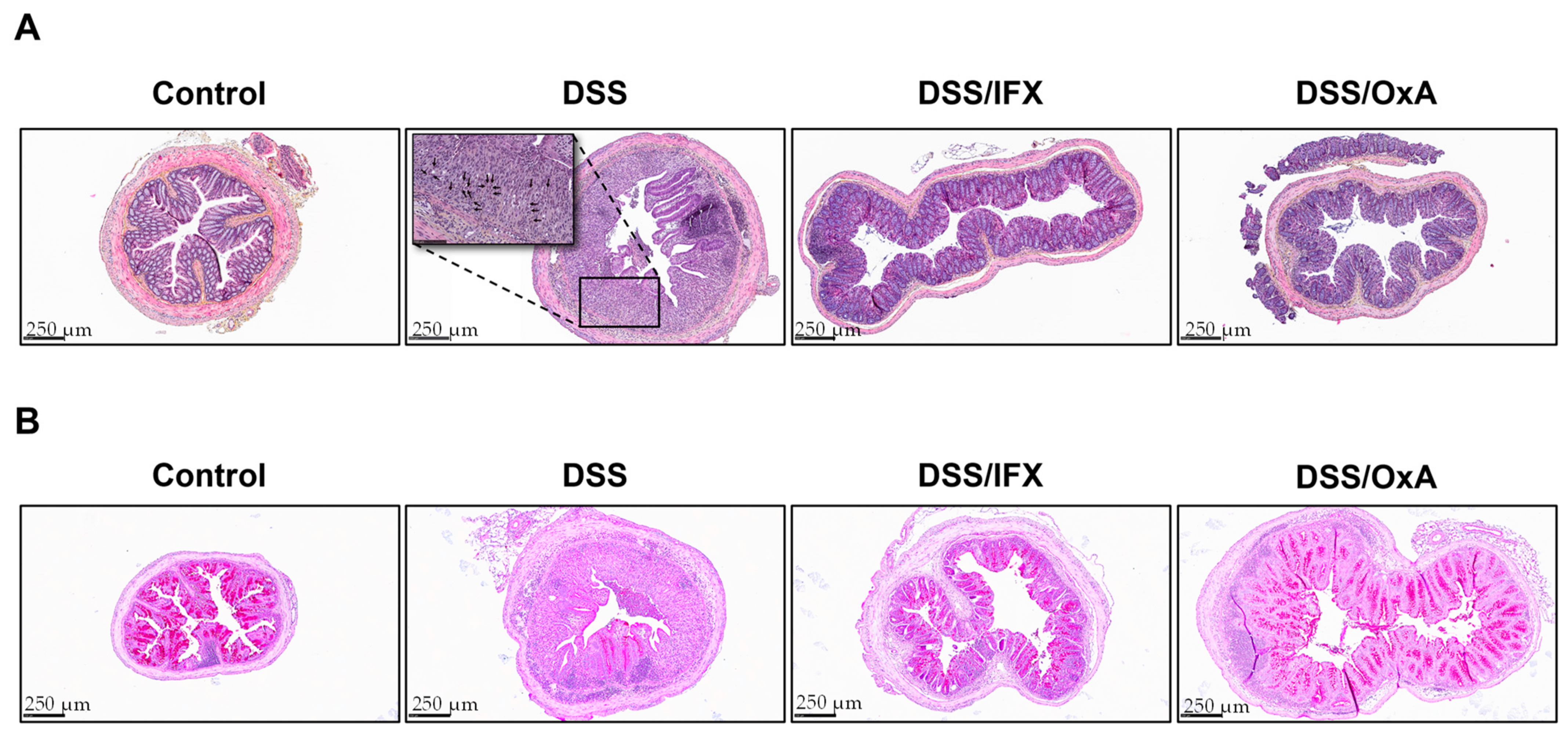 Ijms 24 09554 g006 Ijms 24 09554 g006