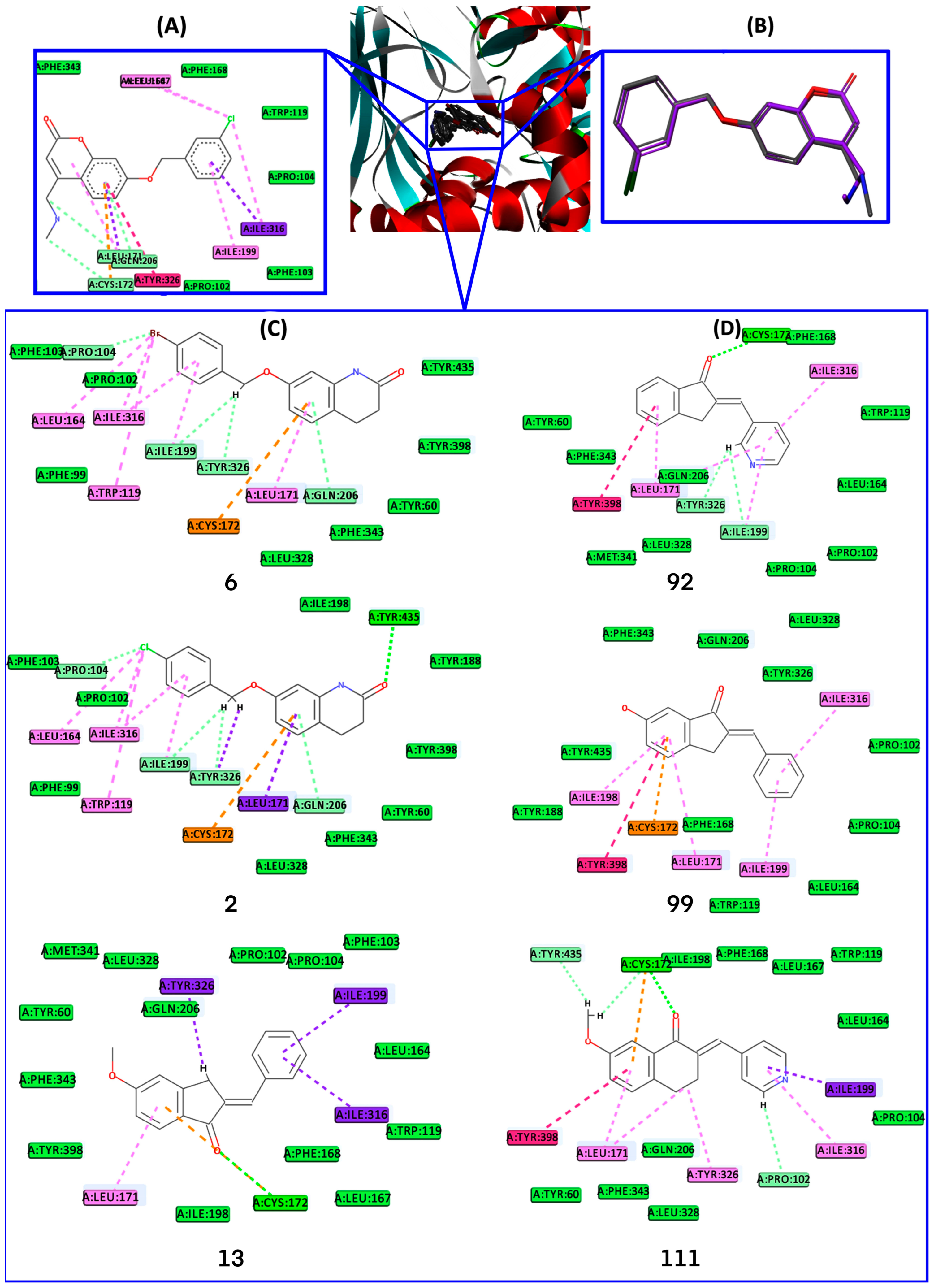 Ijms 24 09583 g008 Ijms 24 09583 g008
