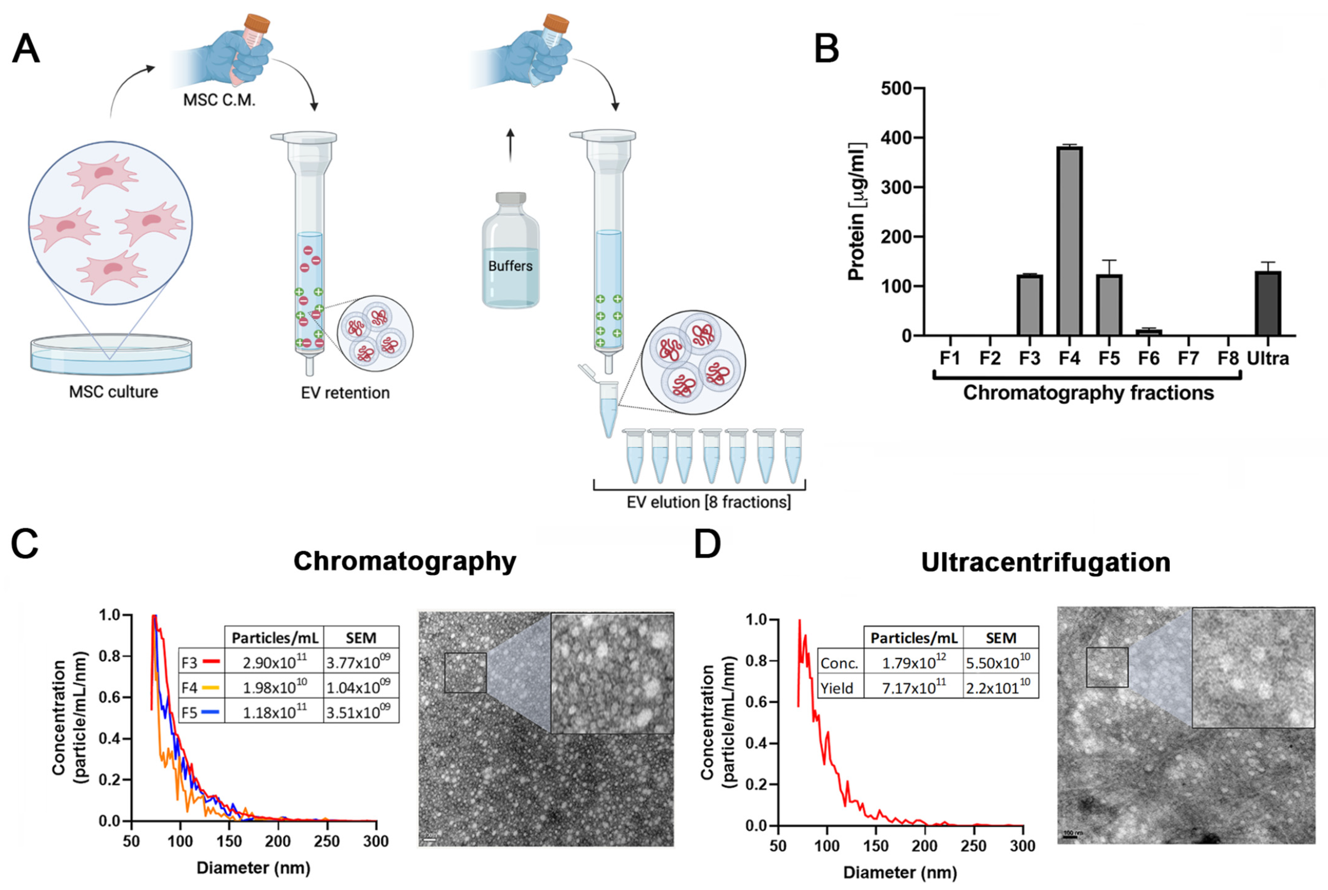 Ijms 24 09586 g001a Ijms 24 09586 g001a