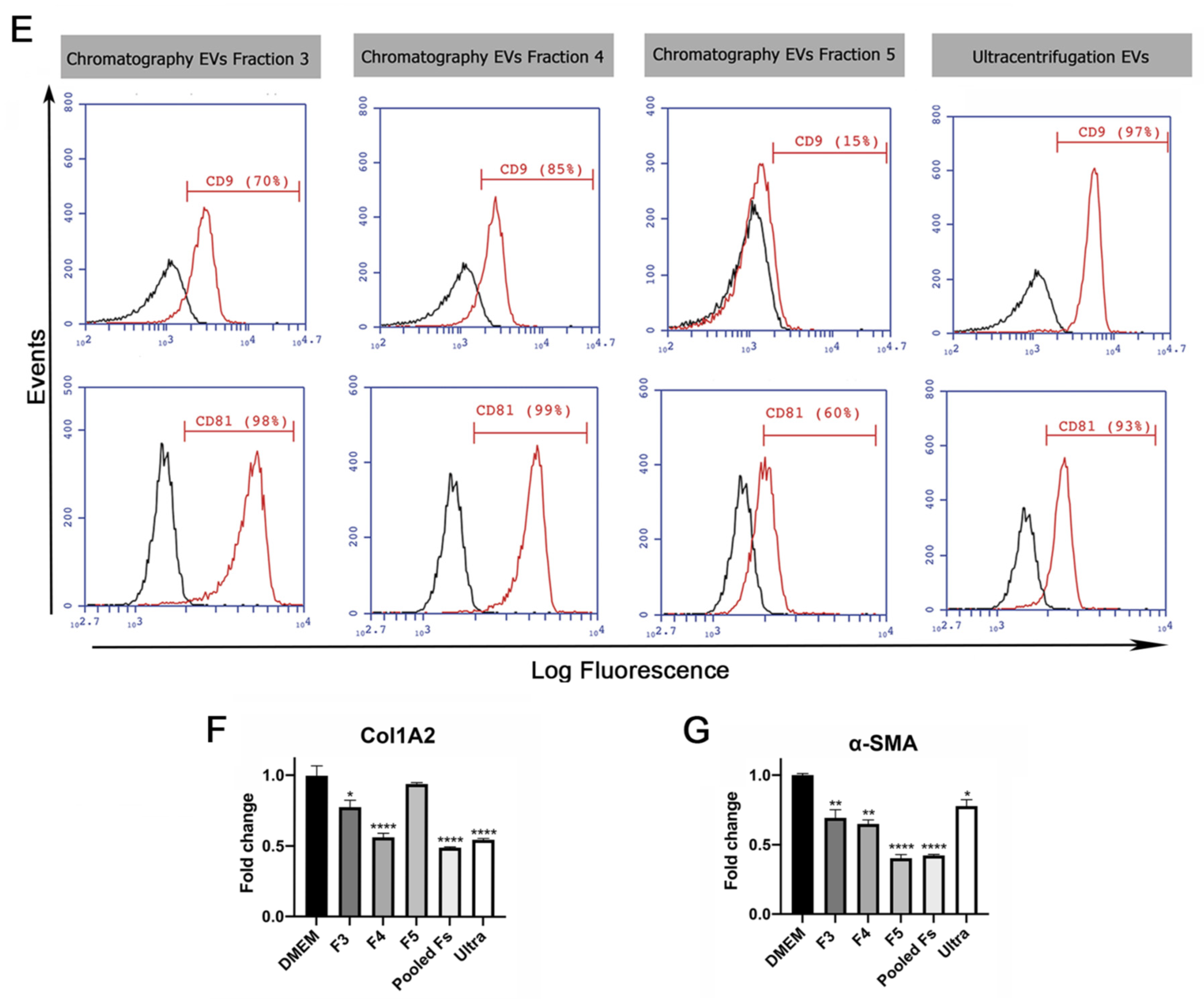 Ijms 24 09586 g001b Ijms 24 09586 g001b