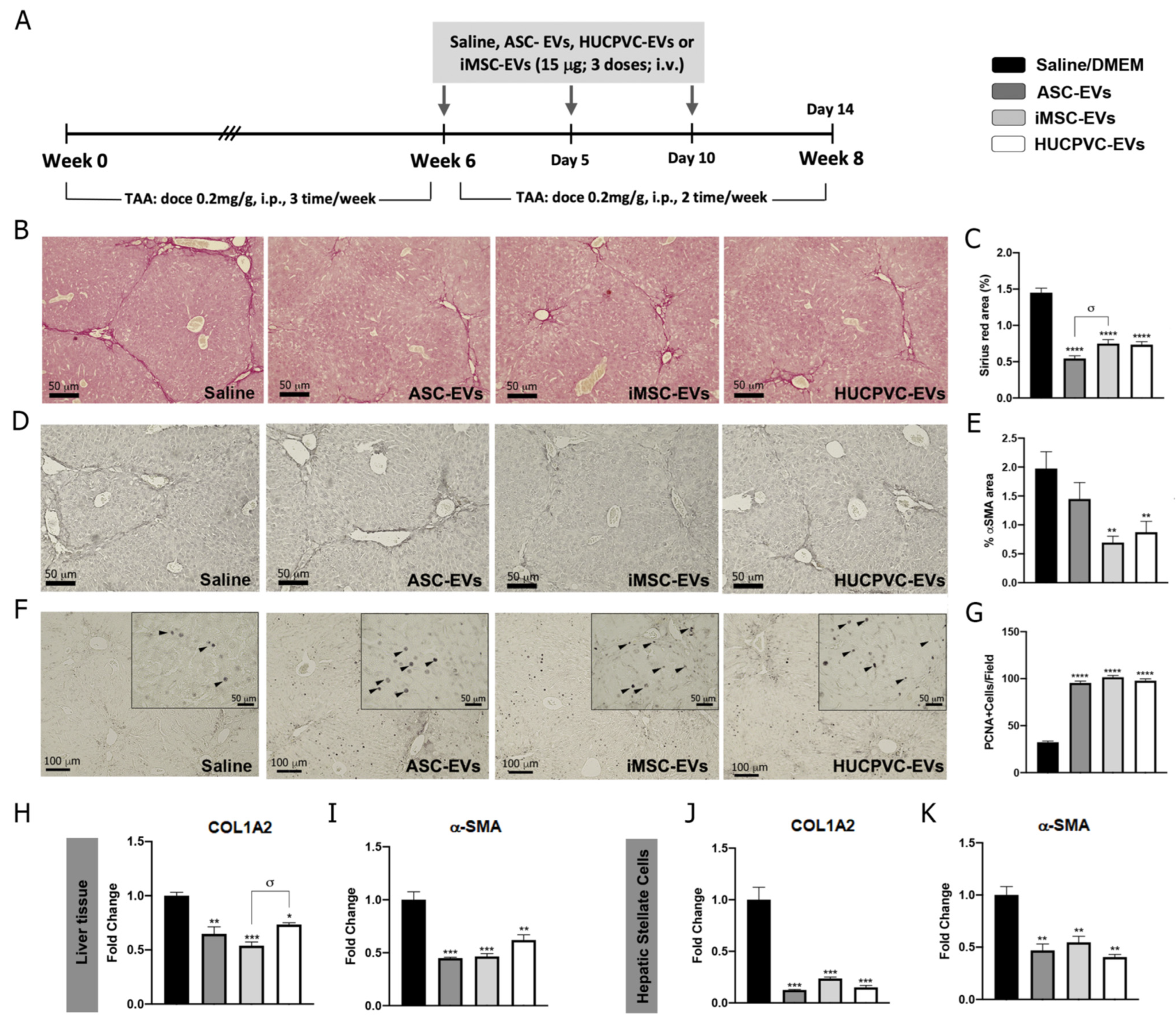 Ijms 24 09586 g003 Ijms 24 09586 g003