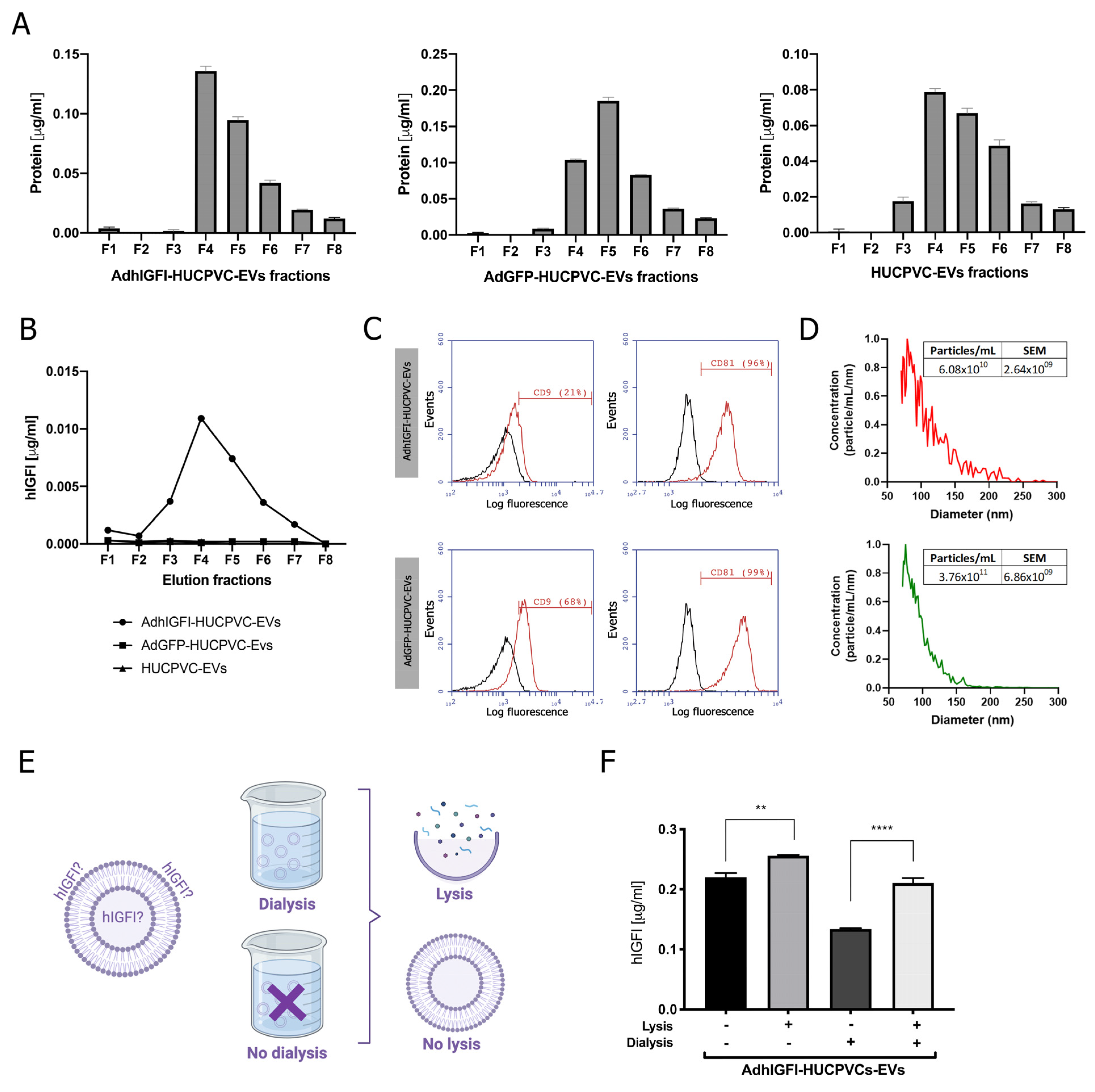 Ijms 24 09586 g004 Ijms 24 09586 g004