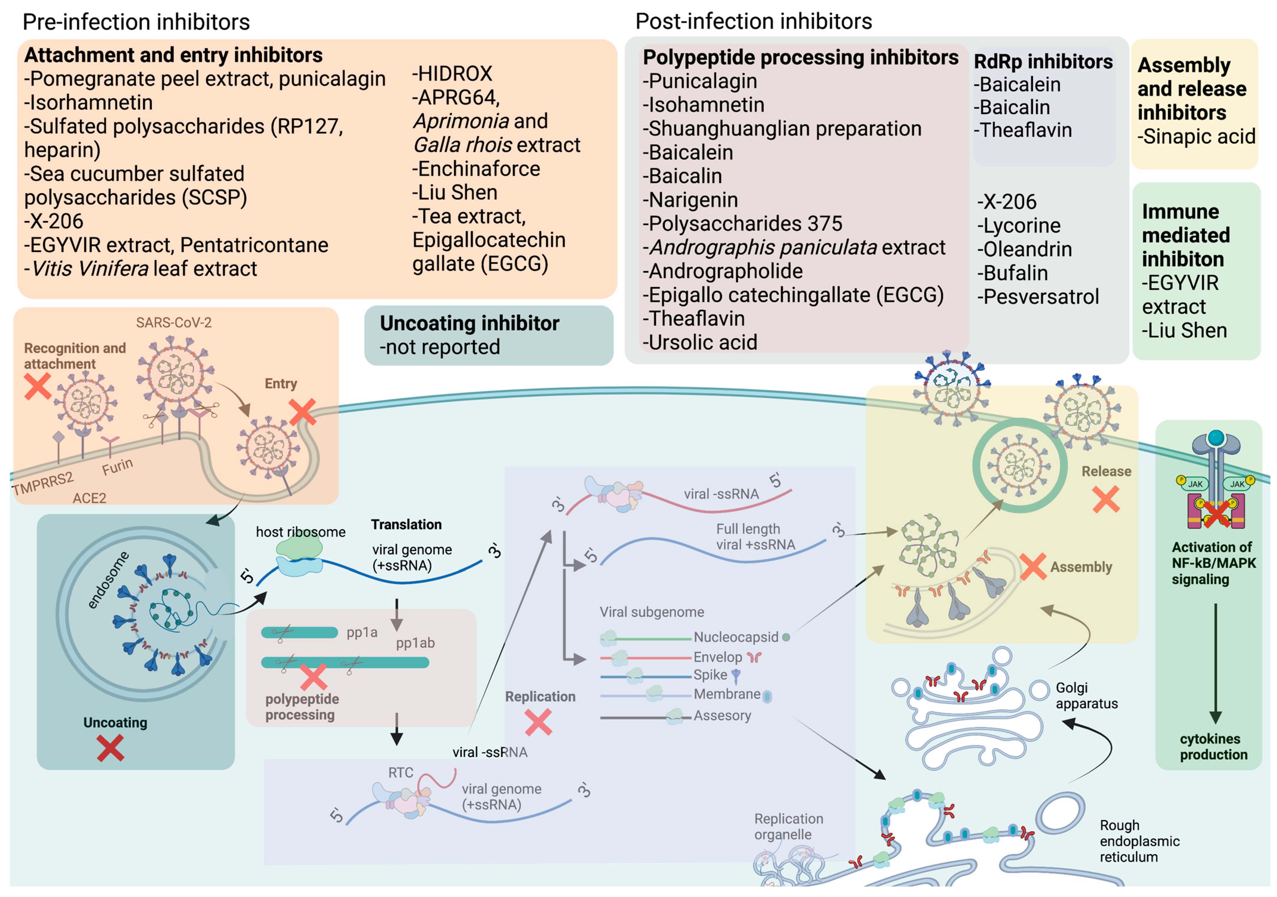 Ijms 24 09589 g002 Ijms 24 09589 g002
