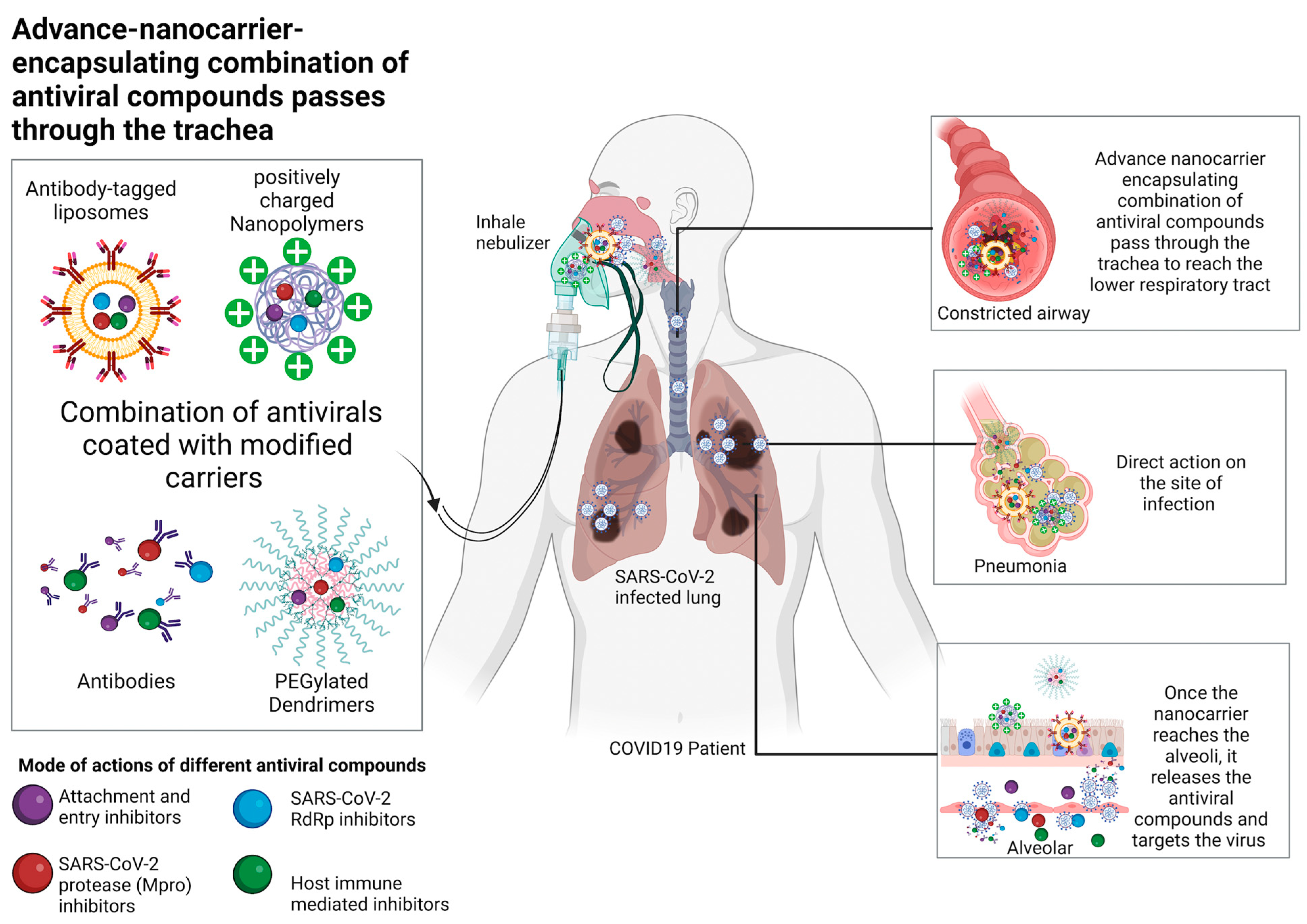 Ijms 24 09589 g003 Ijms 24 09589 g003