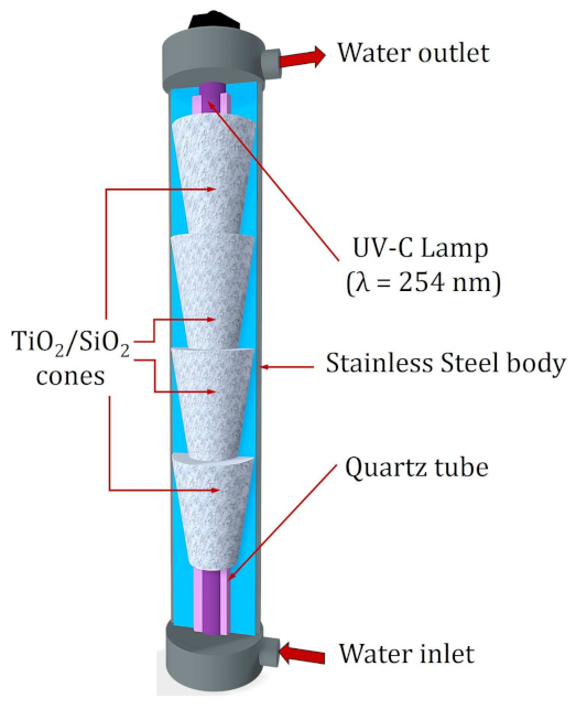 Ijms 24 09595 g009 Ijms 24 09595 g009