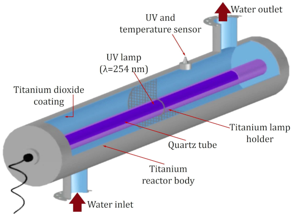 Ijms 24 09595 g010 Ijms 24 09595 g010