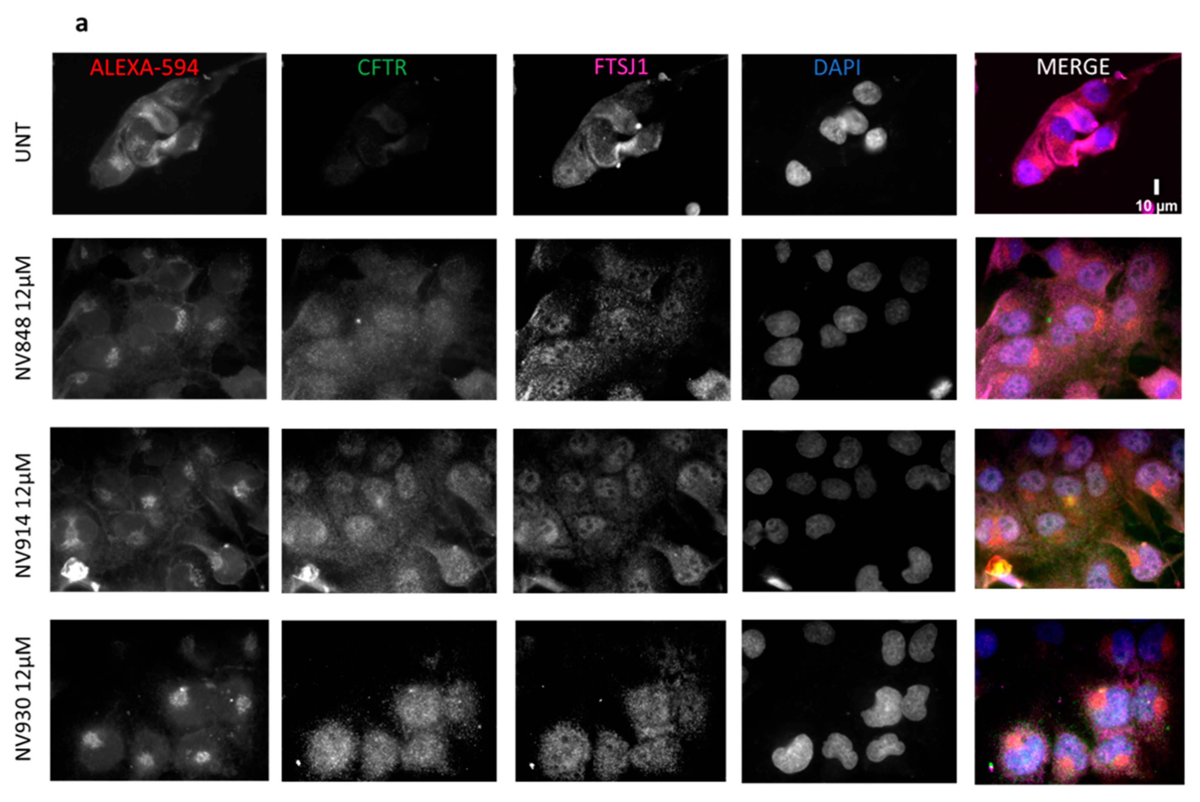 Ijms 24 09609 g012a