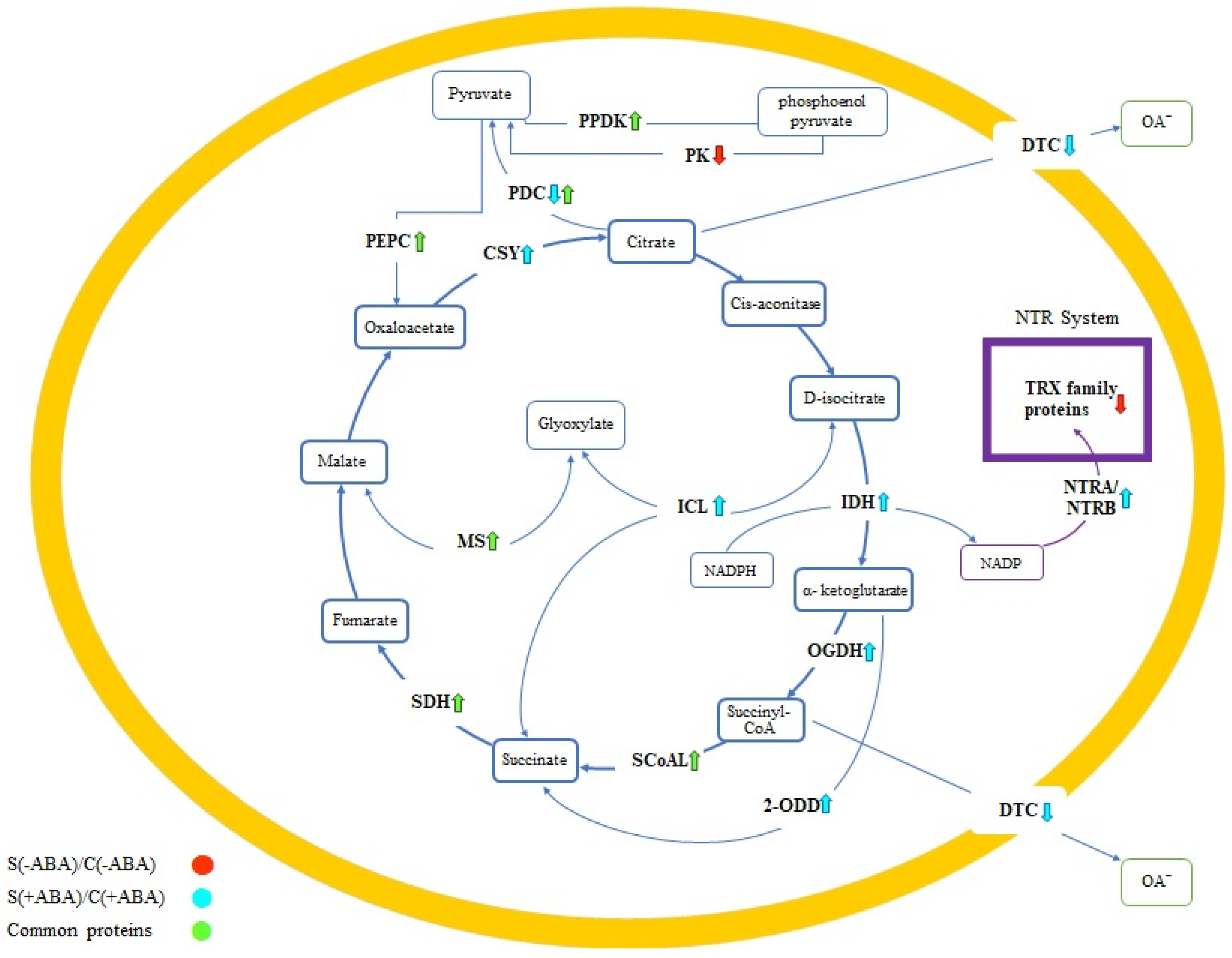 Ijms 24 09628 g007 Ijms 24 09628 g007