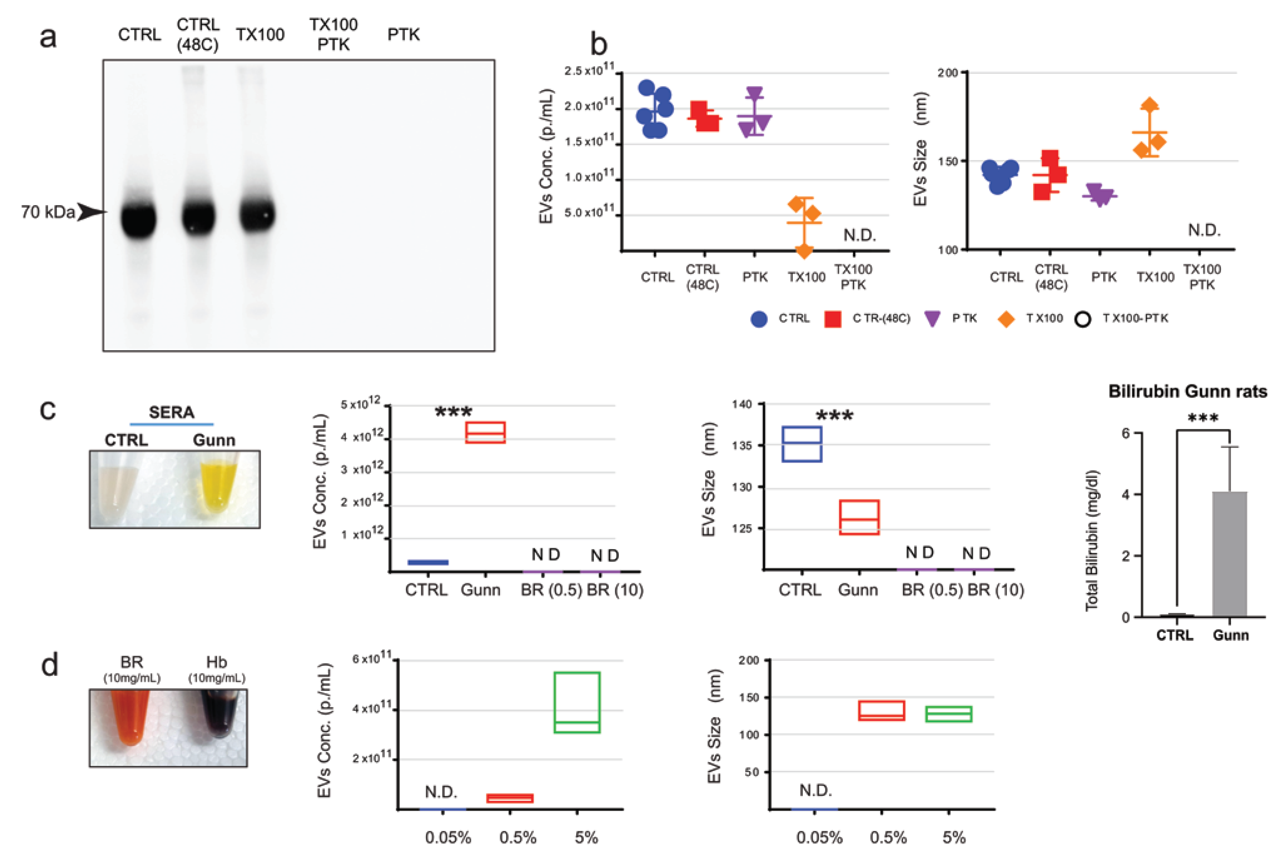 Ijms 24 09631 g002 Ijms 24 09631 g002