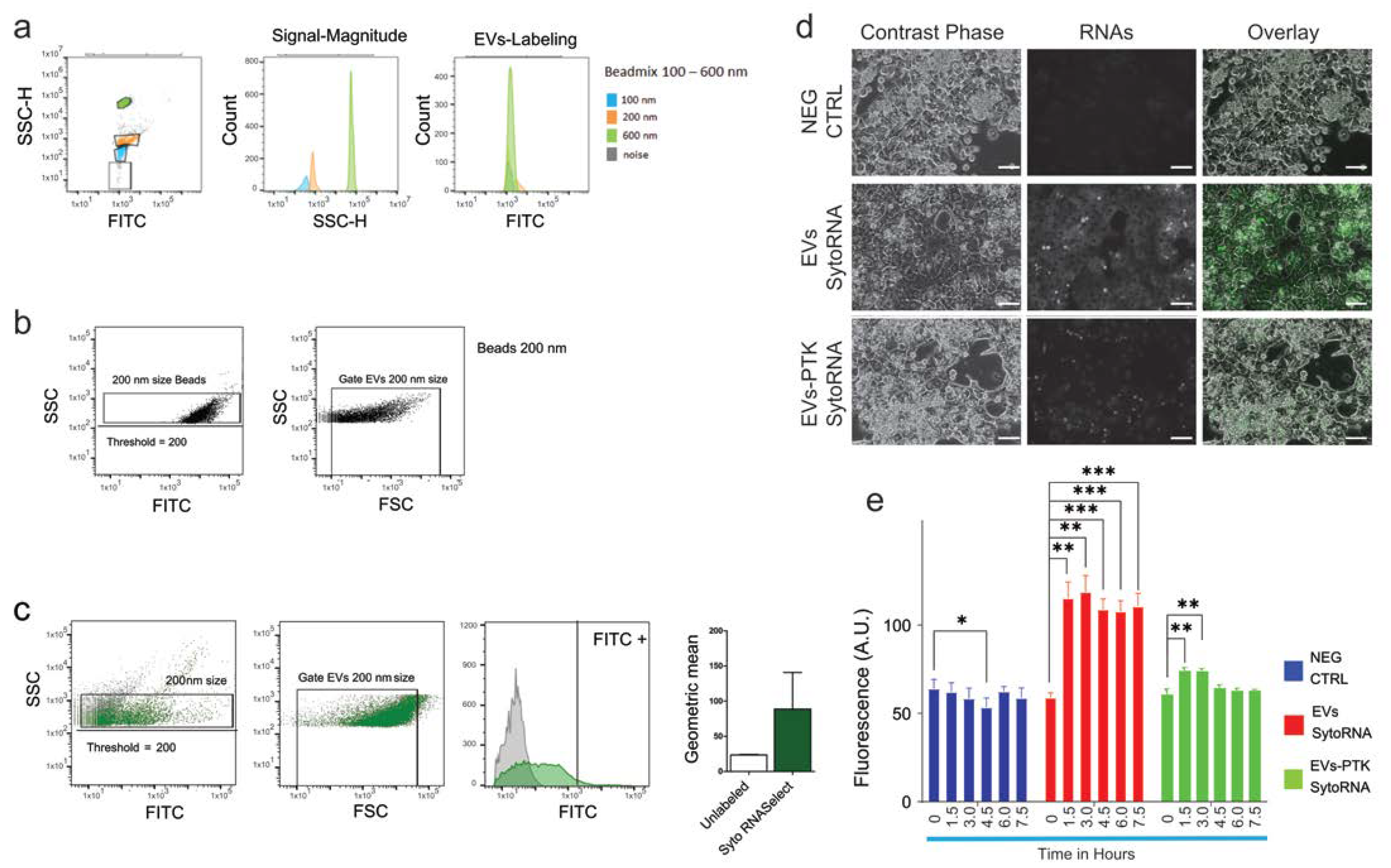 Ijms 24 09631 g004 Ijms 24 09631 g004