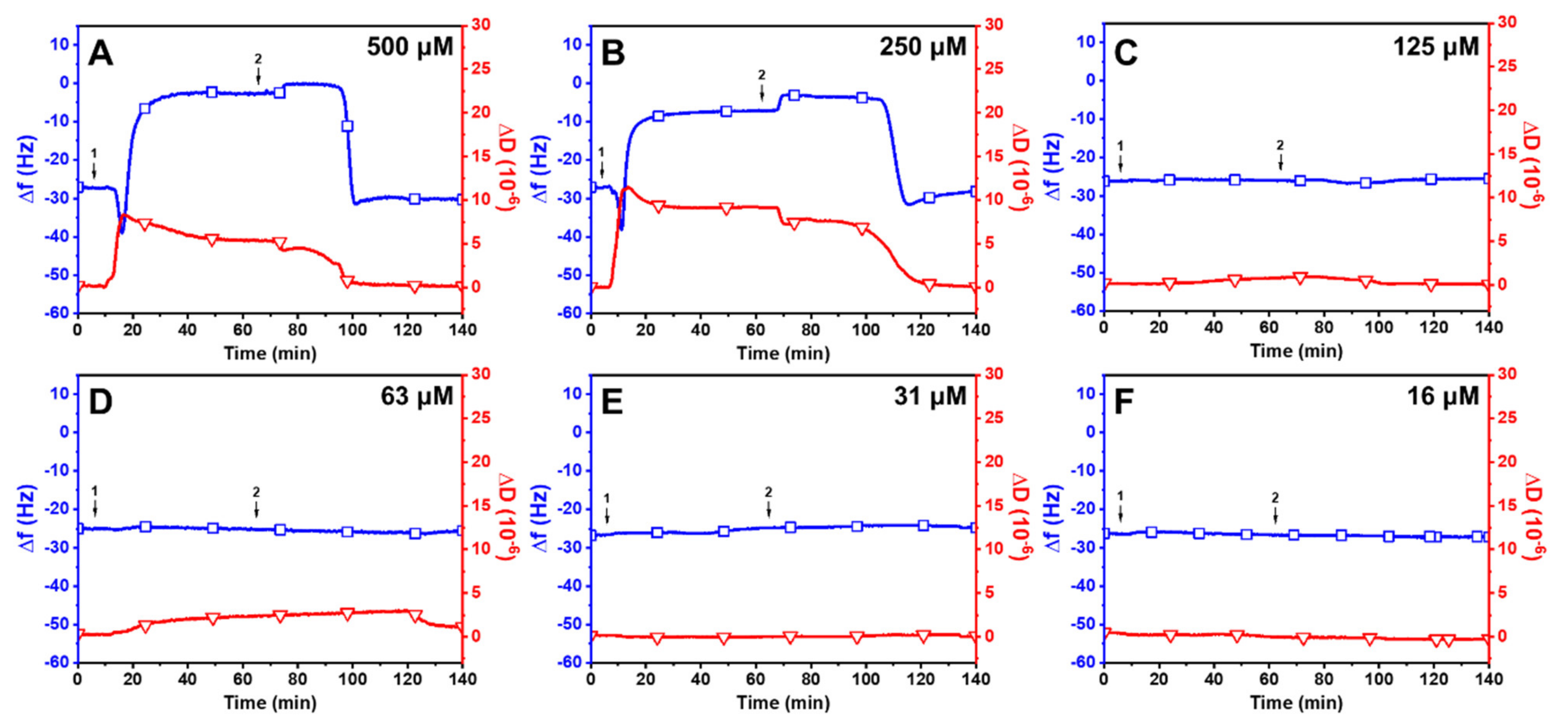 Ijms 24 09639 g003 Ijms 24 09639 g003