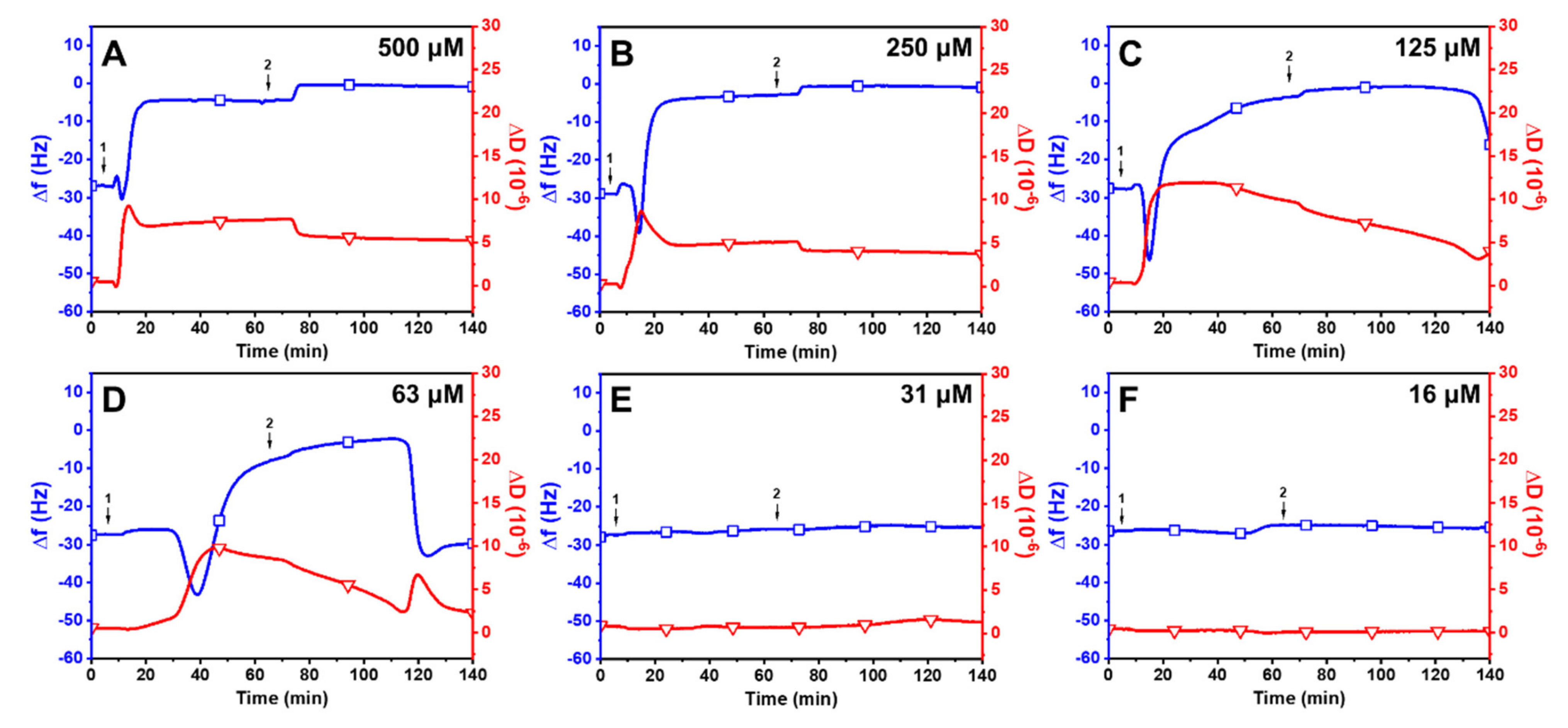 Ijms 24 09639 g004 Ijms 24 09639 g004