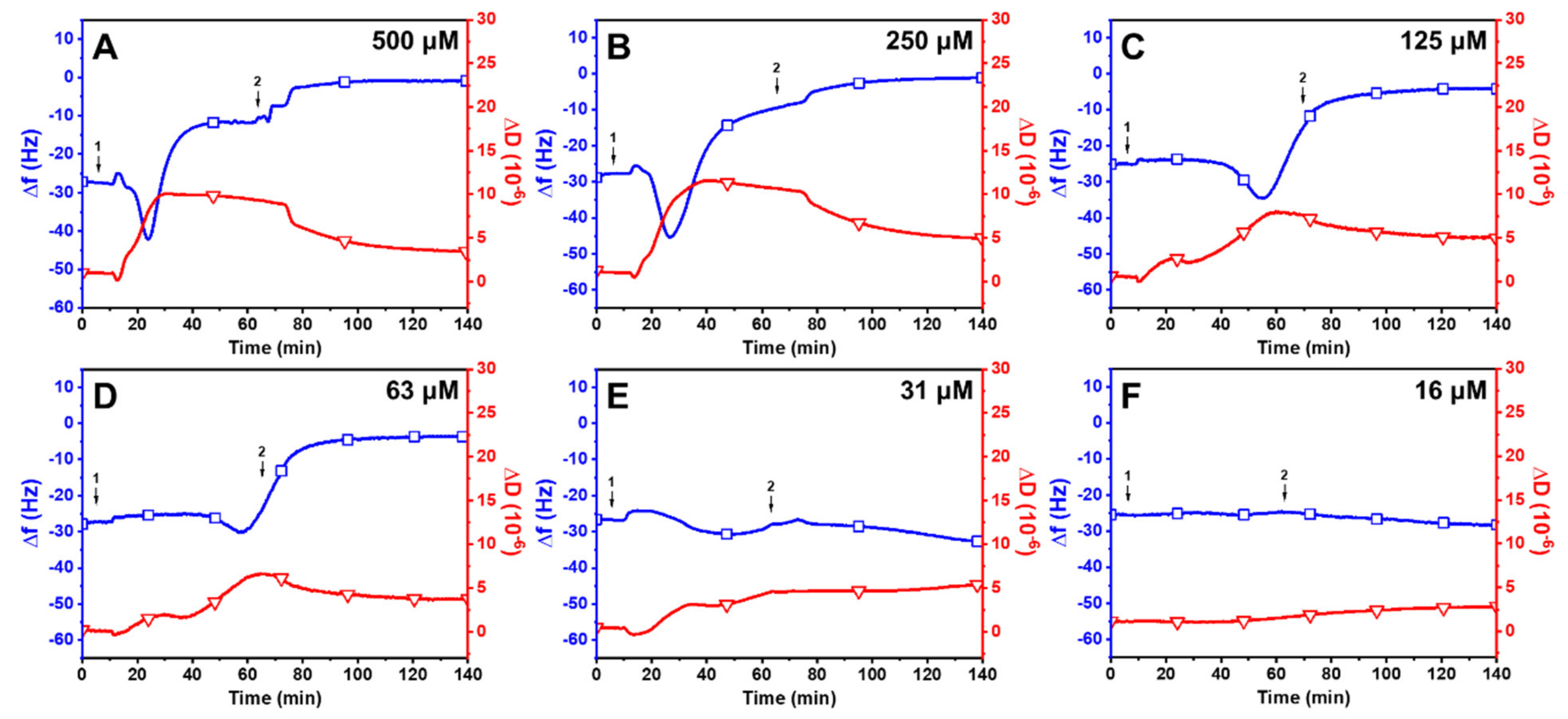 Ijms 24 09639 g005 Ijms 24 09639 g005