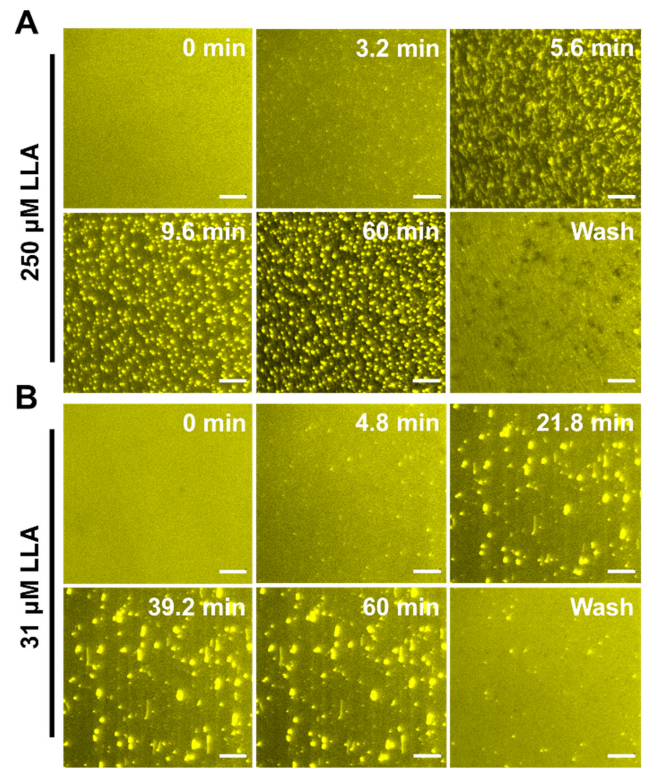 Ijms 24 09639 g008 Ijms 24 09639 g008
