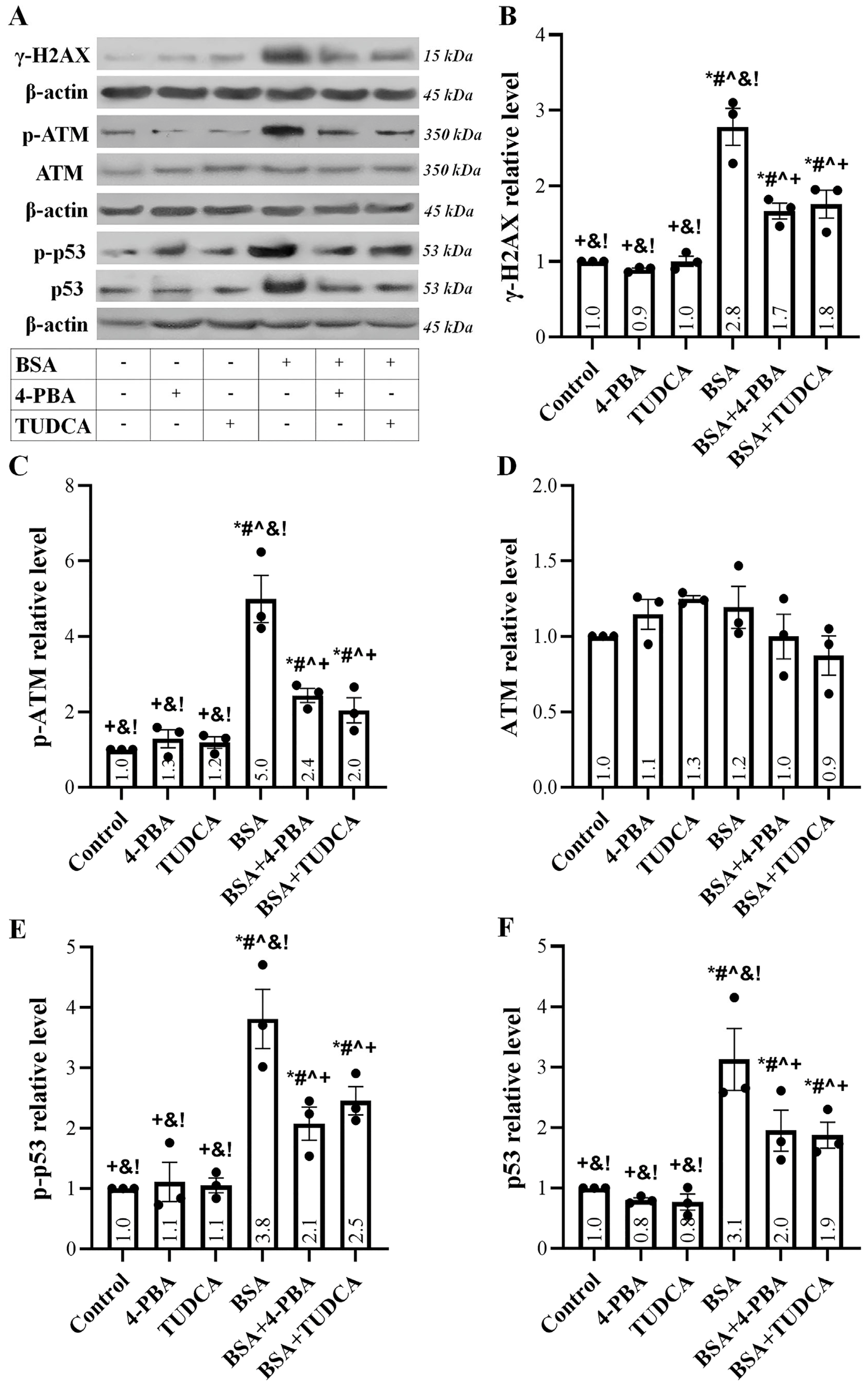 Ijms 24 09640 g002 Ijms 24 09640 g002