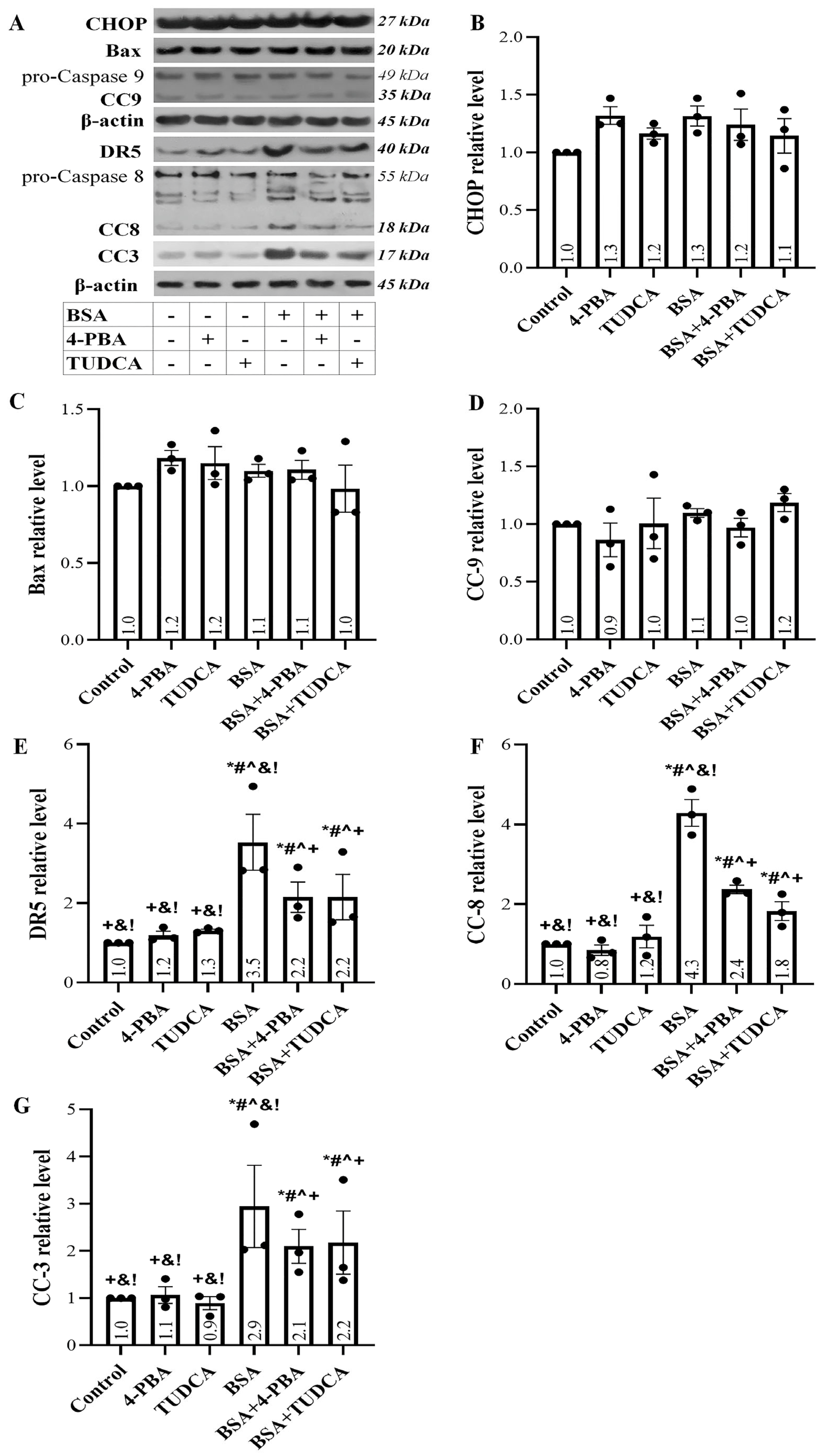 Ijms 24 09640 g003 Ijms 24 09640 g003