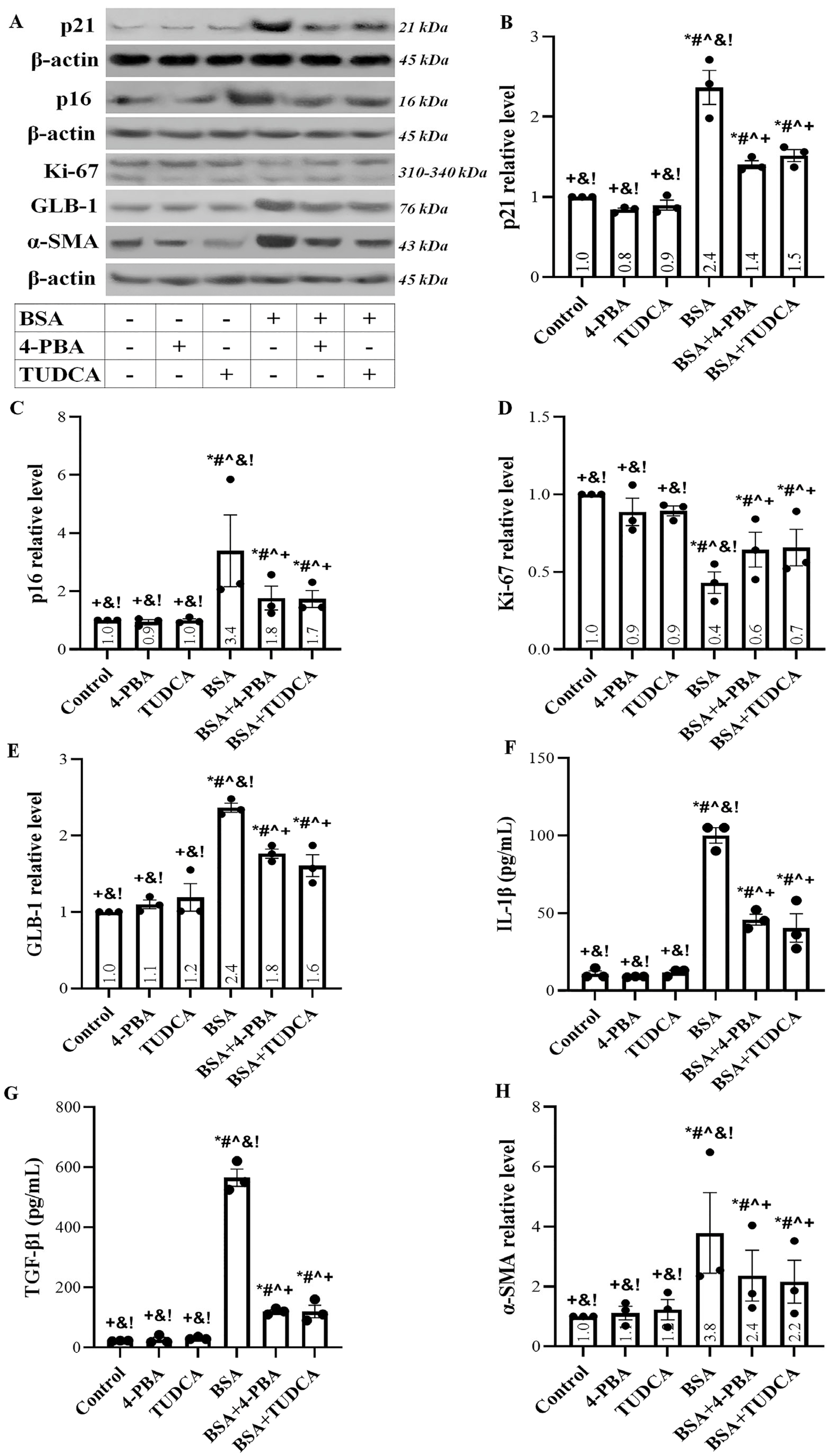 Ijms 24 09640 g004 Ijms 24 09640 g004