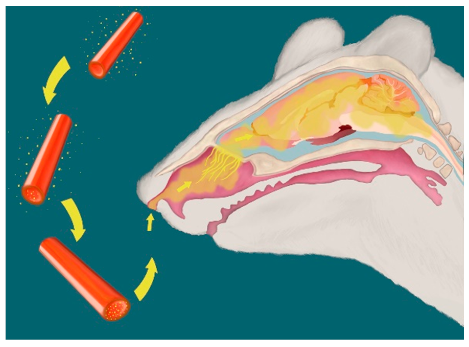 Ijms 24 09648 sch001