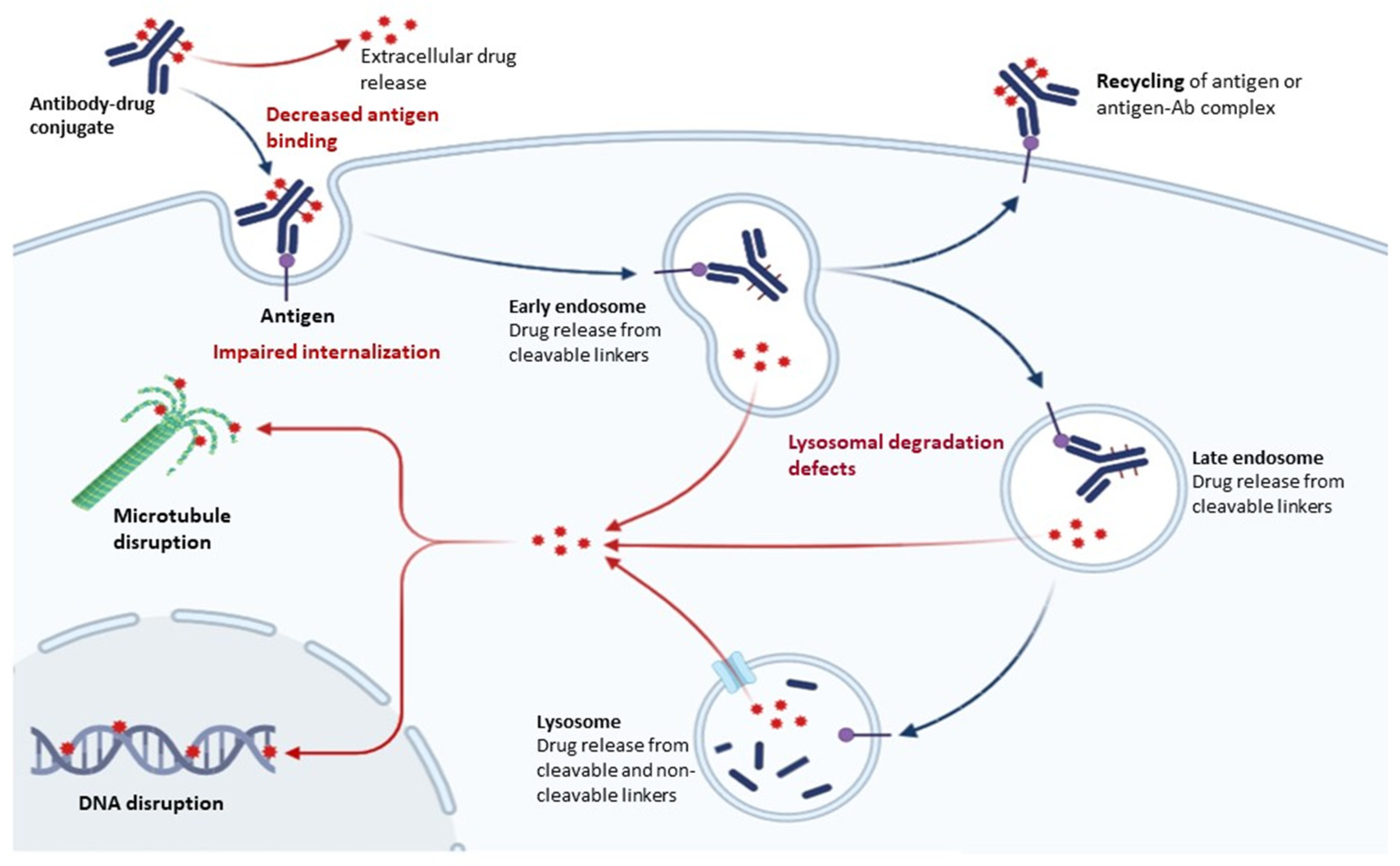 Ijms 24 09674 g002 Ijms 24 09674 g002